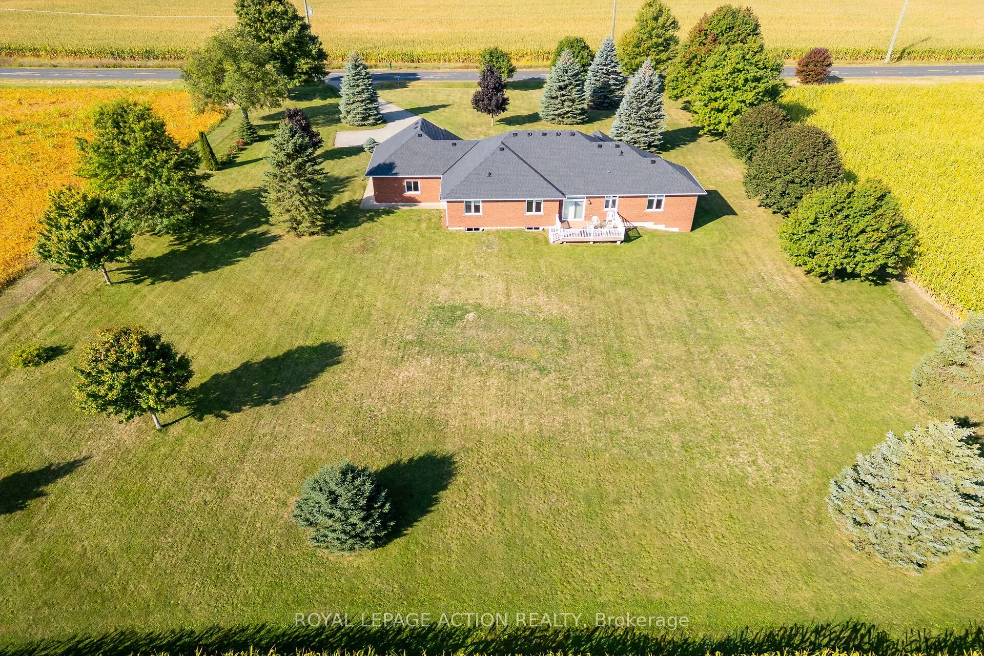 99 Mcmillan Road