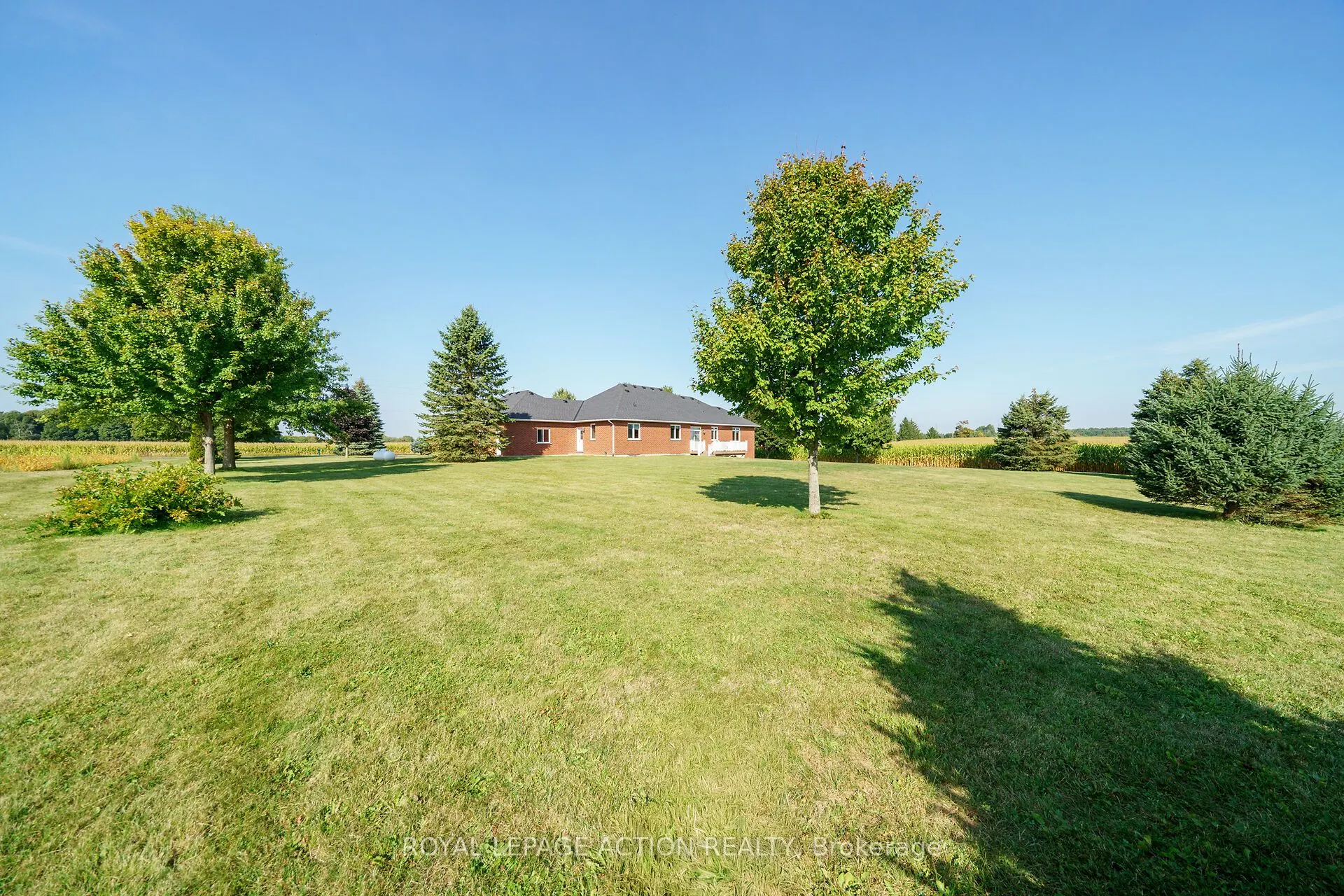 99 Mcmillan Road