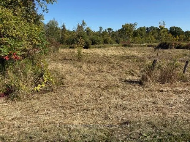 254 Briar Hill Road