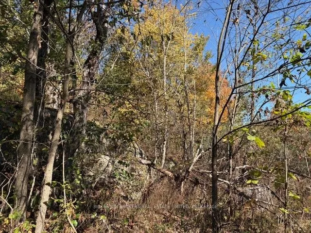 254 Briar Hill Road