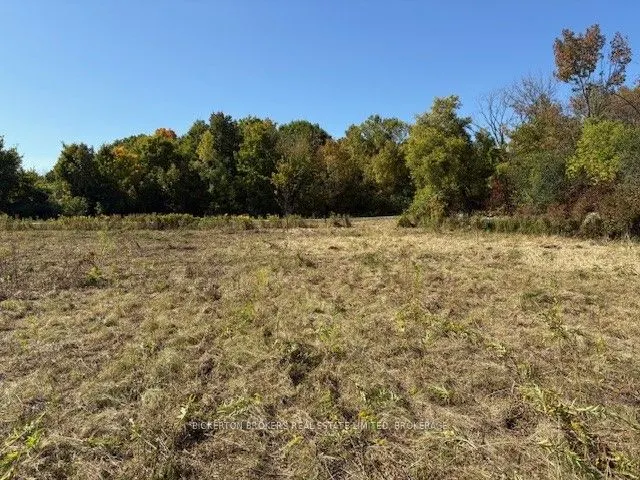 254 Briar Hill Road