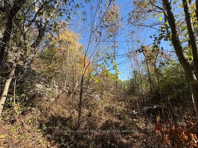 254 Briar Hill Road