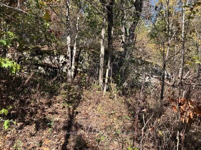 254 Briar Hill Road