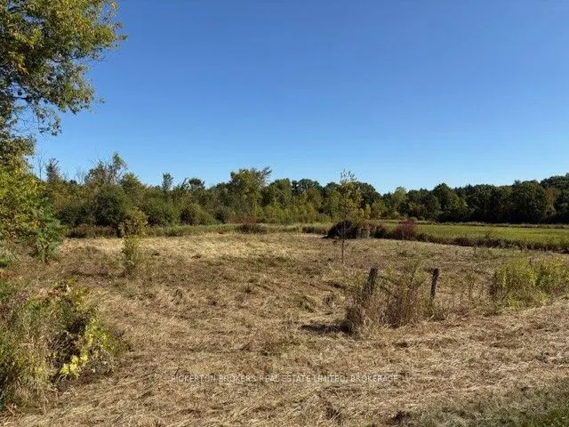 254 Briar Hill Road