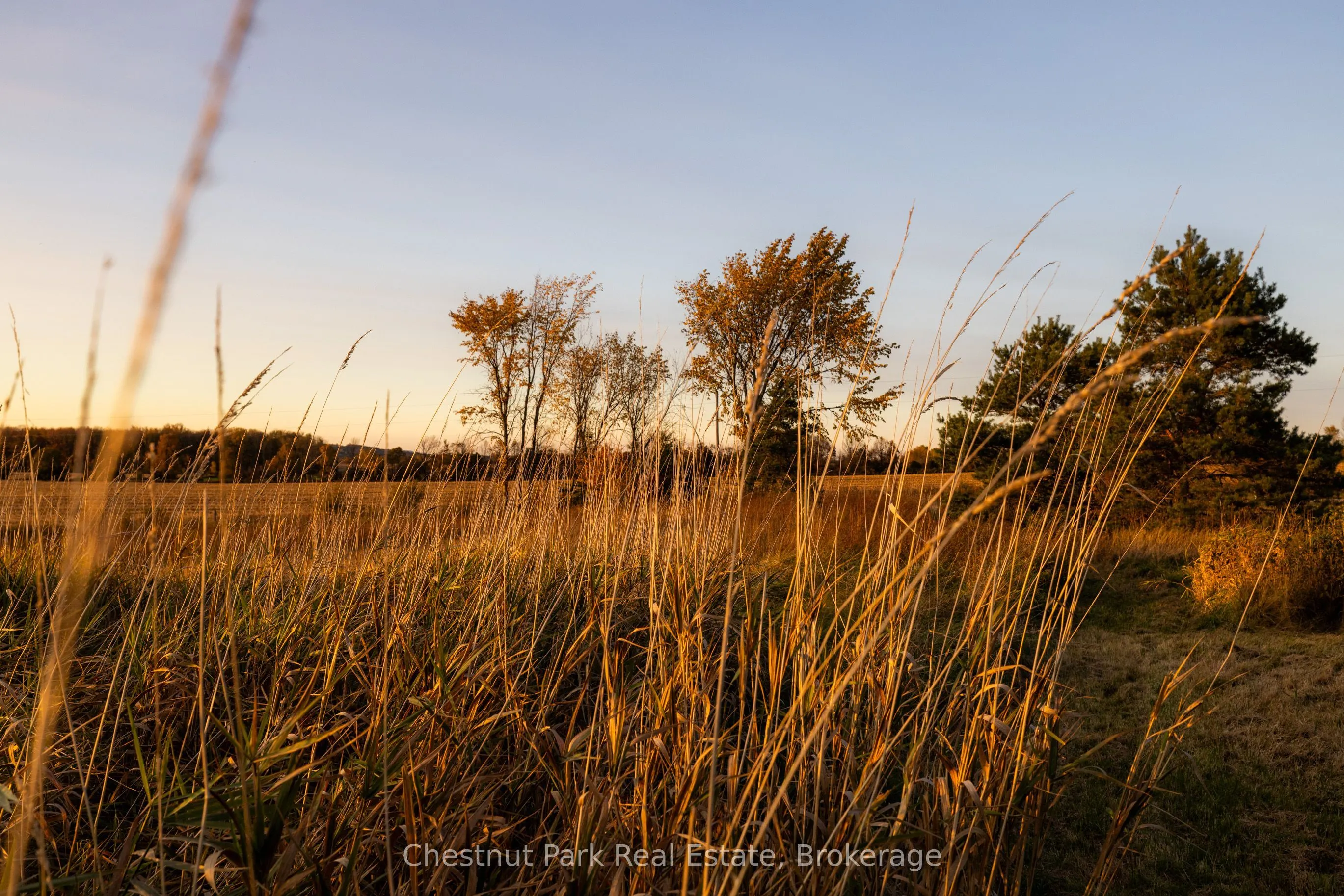 324310 SIDEROAD 27 Road