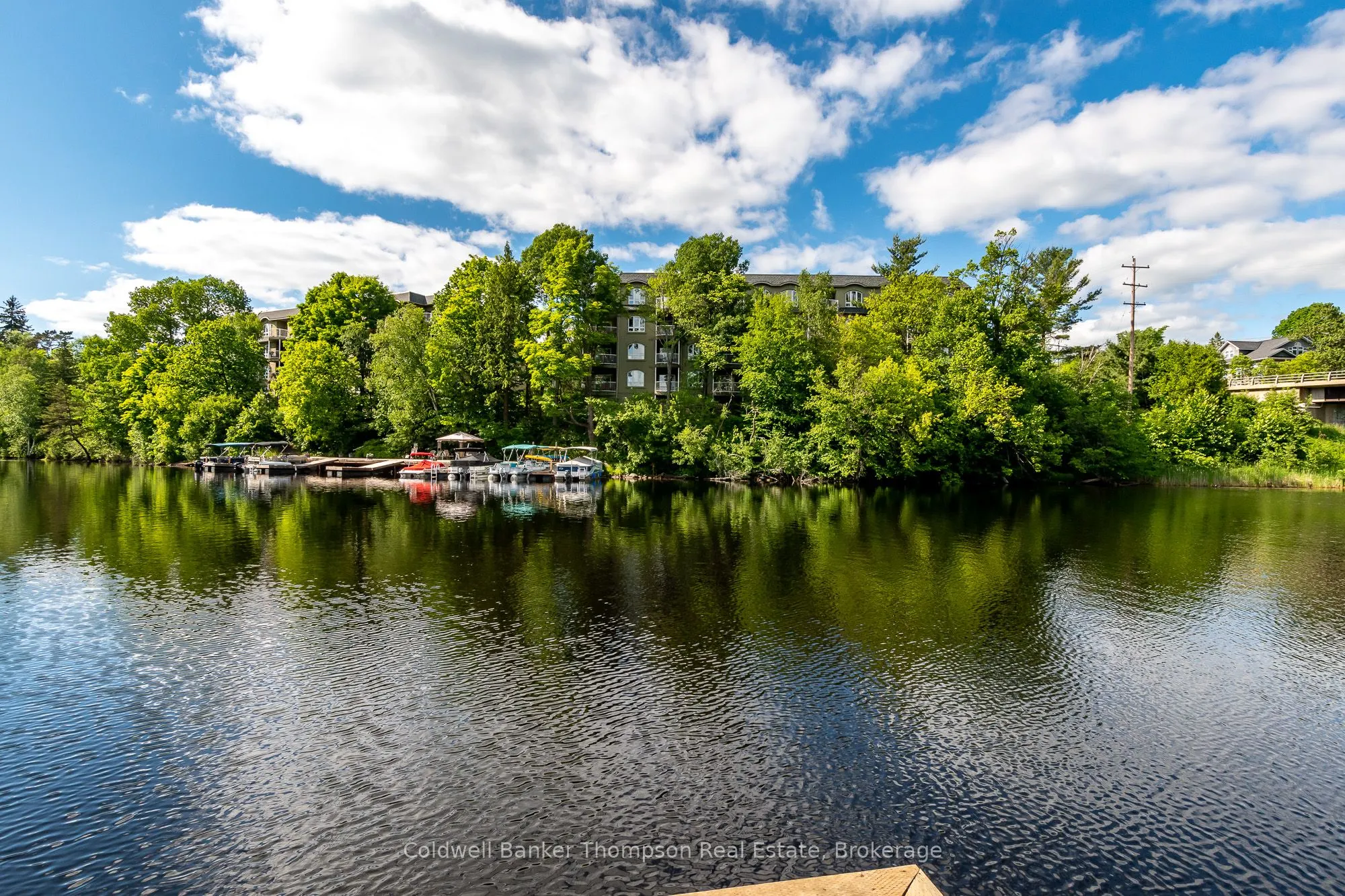 31 Dairy Lane, #203