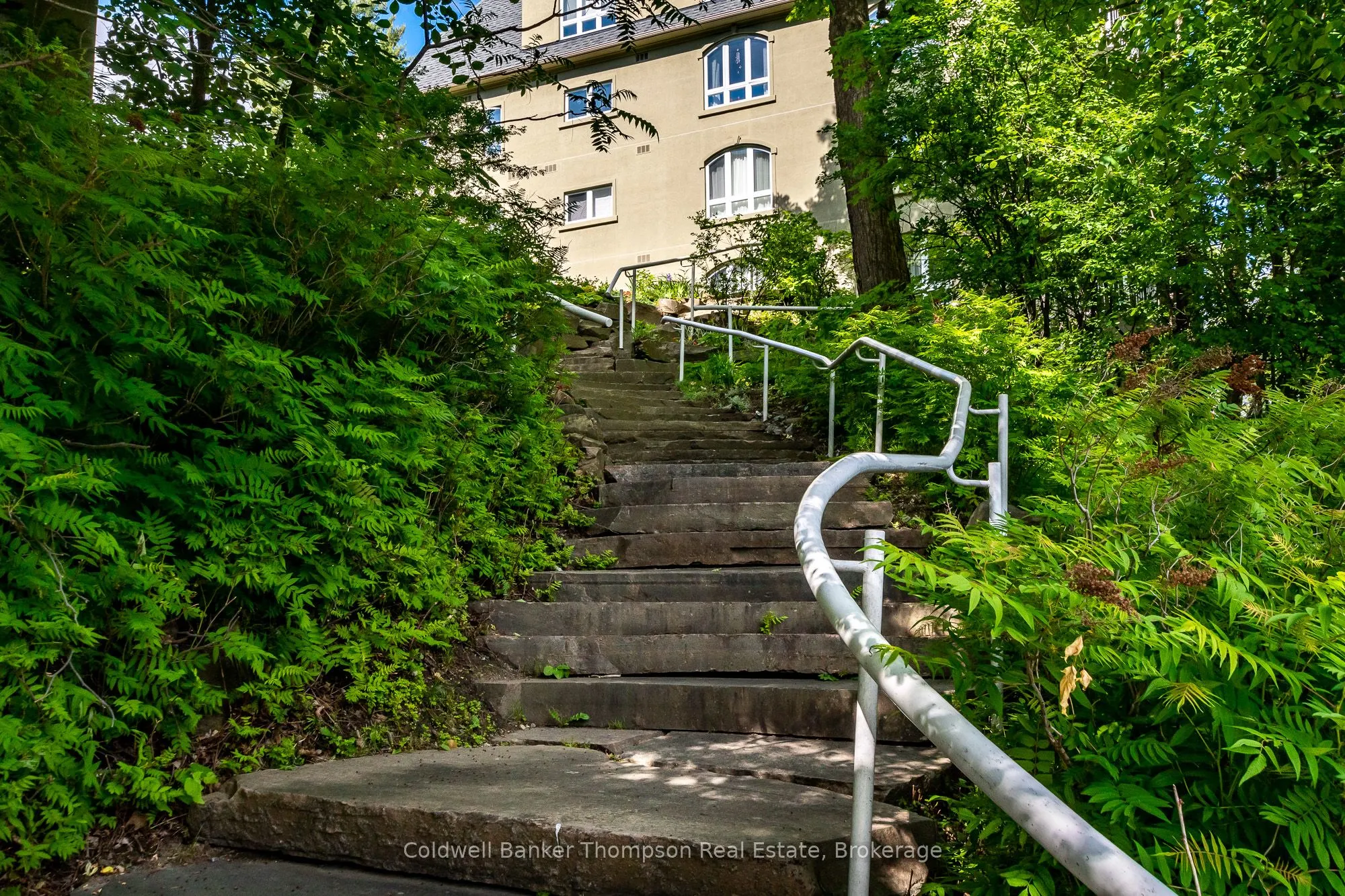 31 Dairy Lane, #203