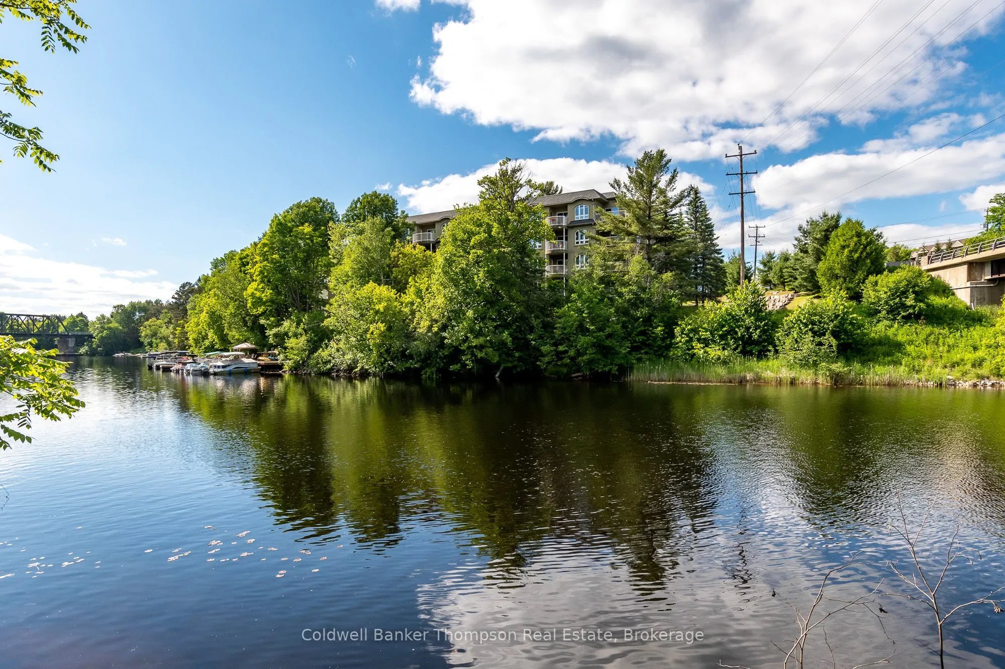 31 Dairy Lane, #203