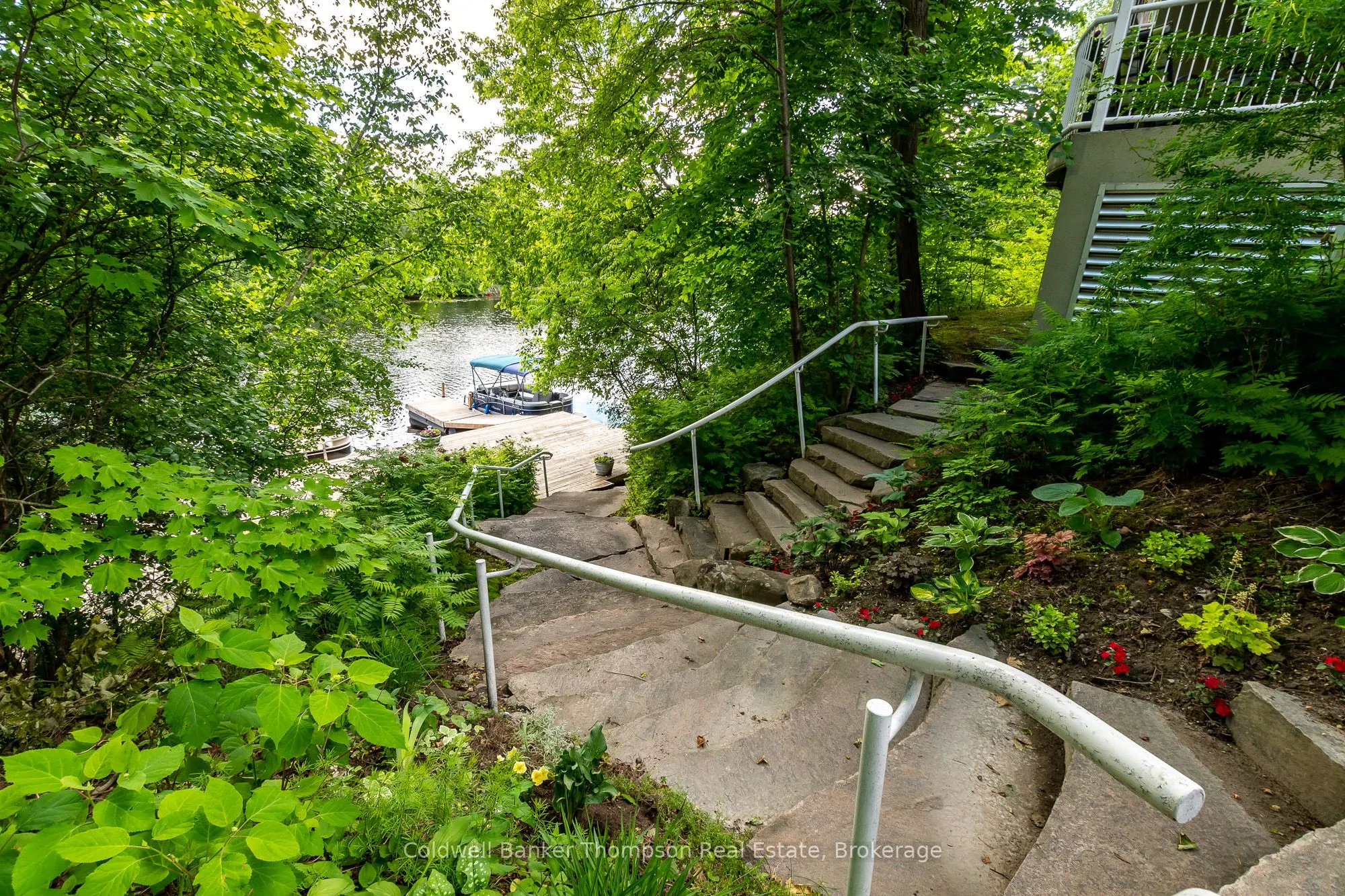 31 Dairy Lane, #203