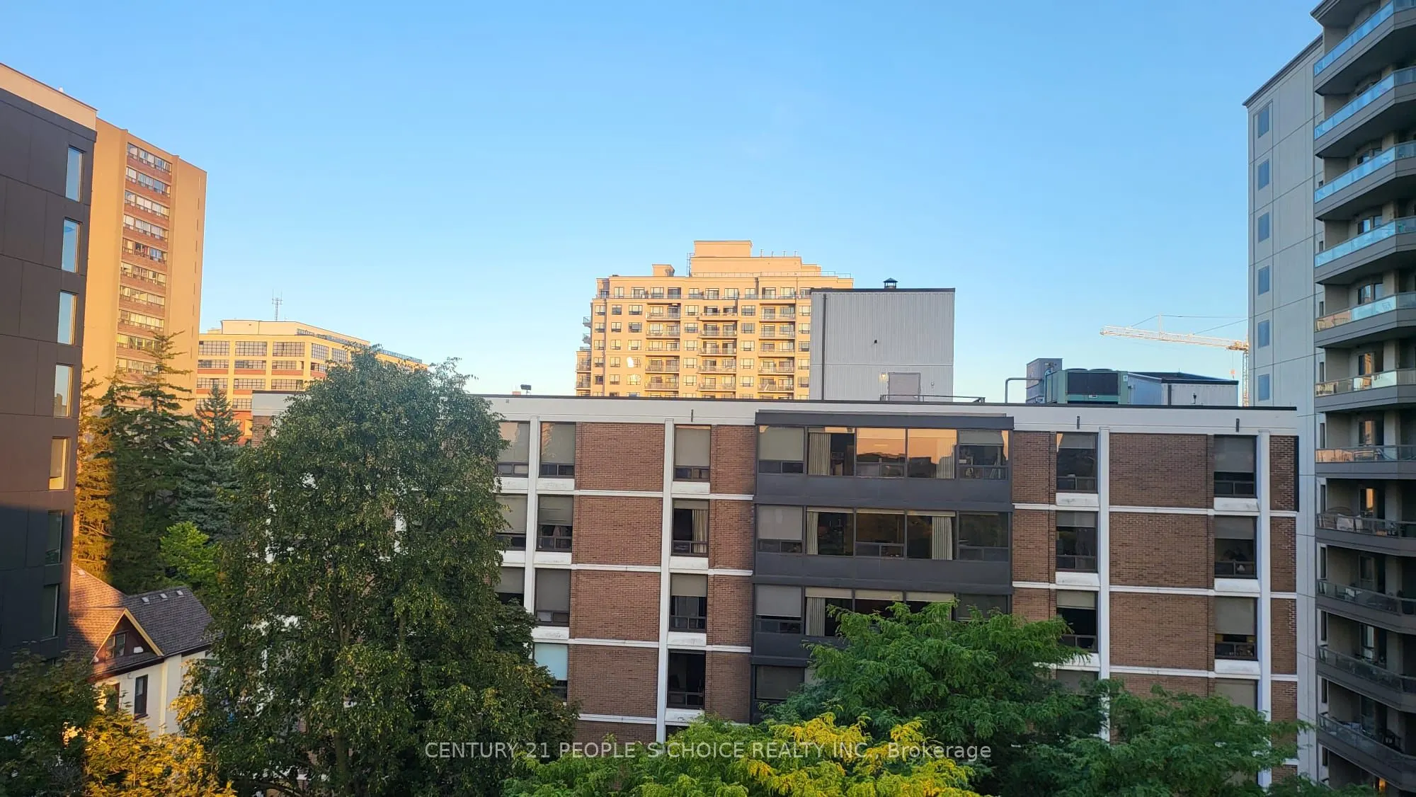 51 David Street, #602