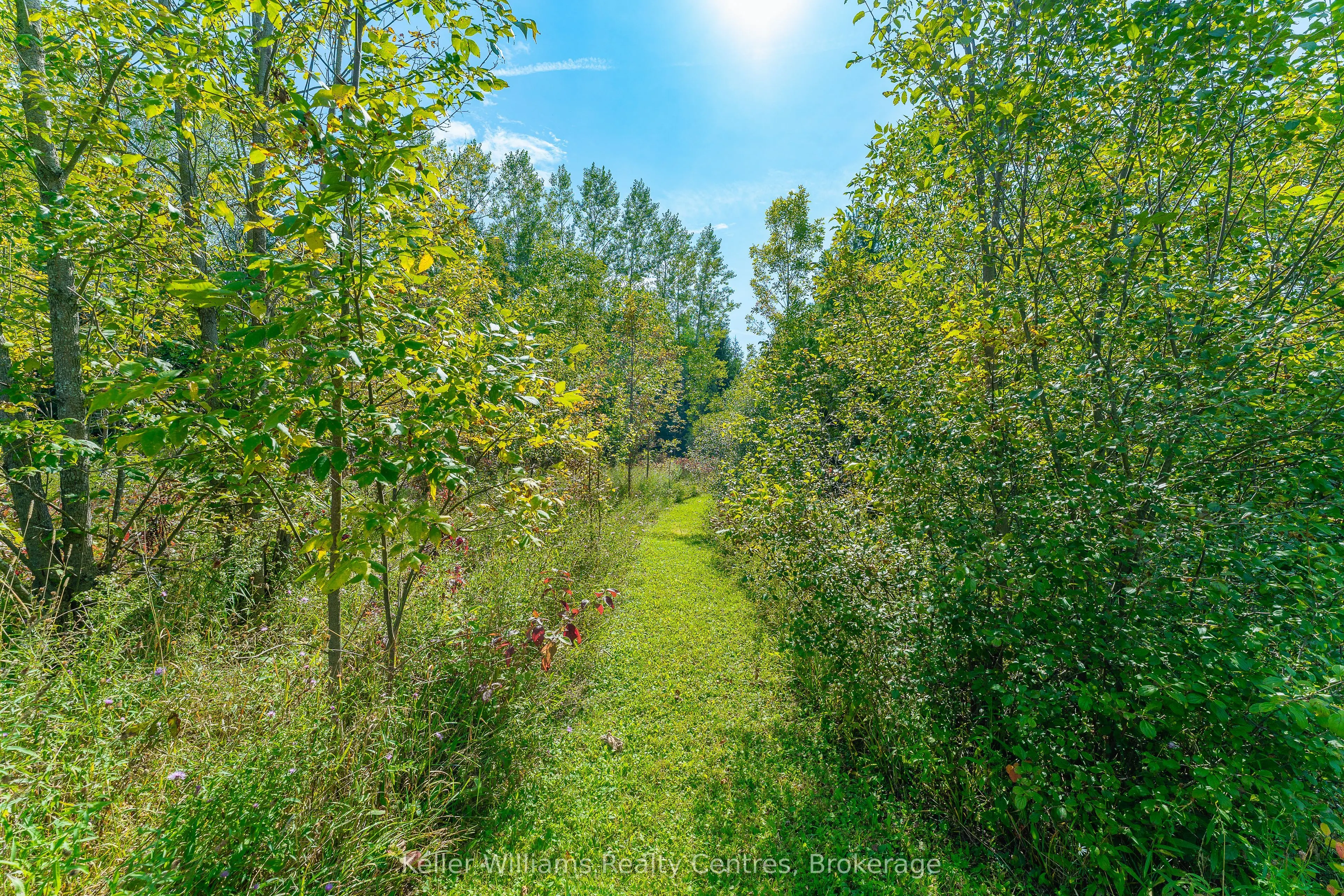 210194 Burgess Side Road