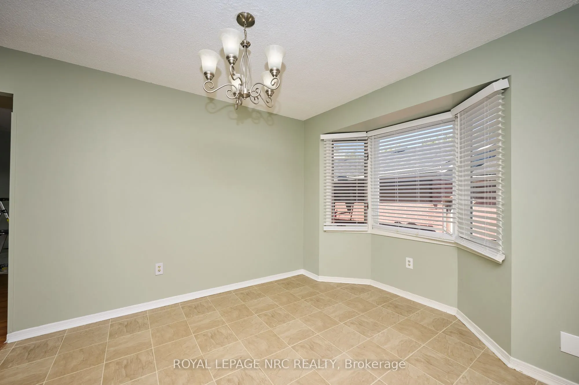 12 Andrea Drive