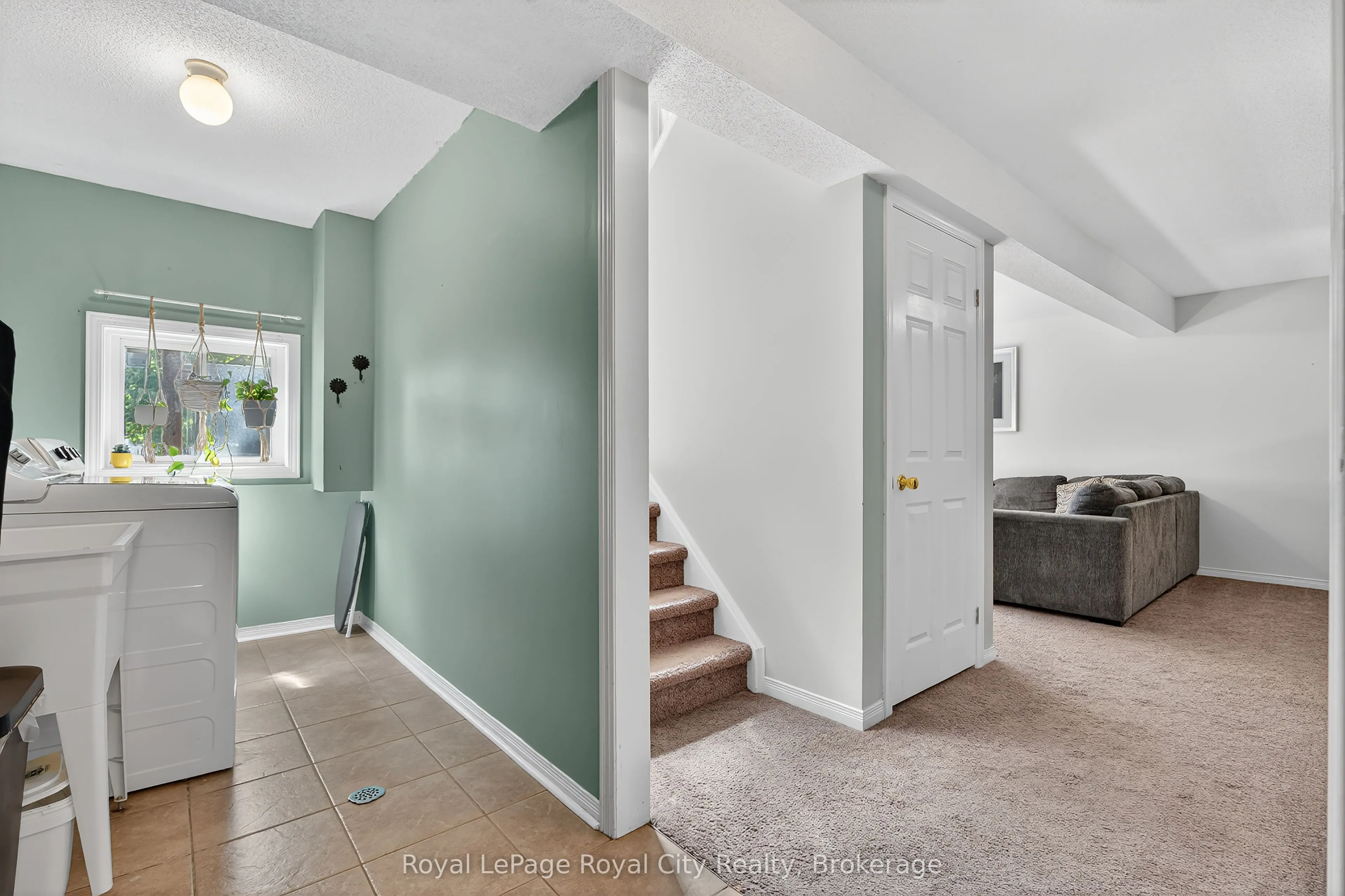 50 Mclachlan Place