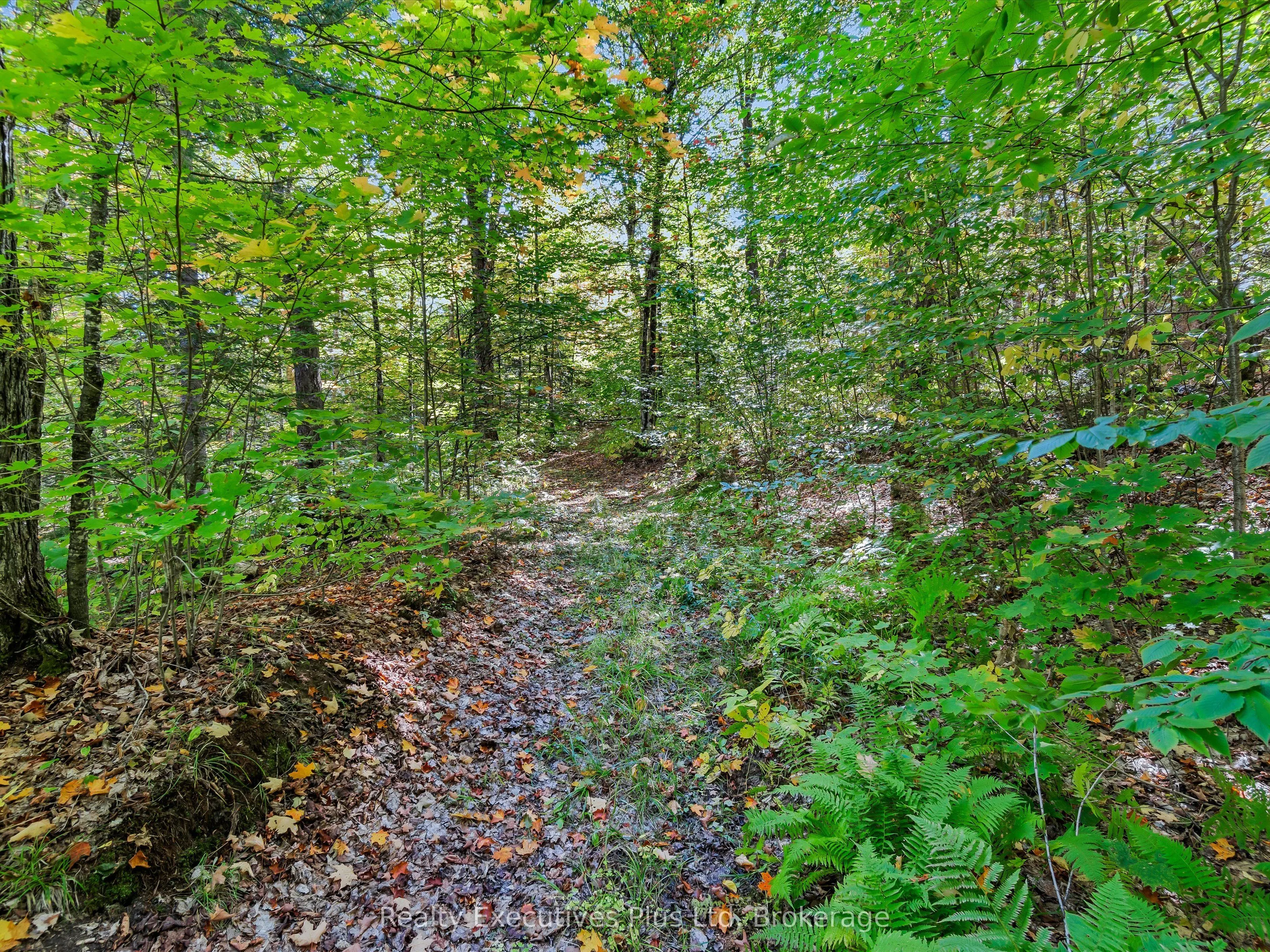 353 Mcfadden Line