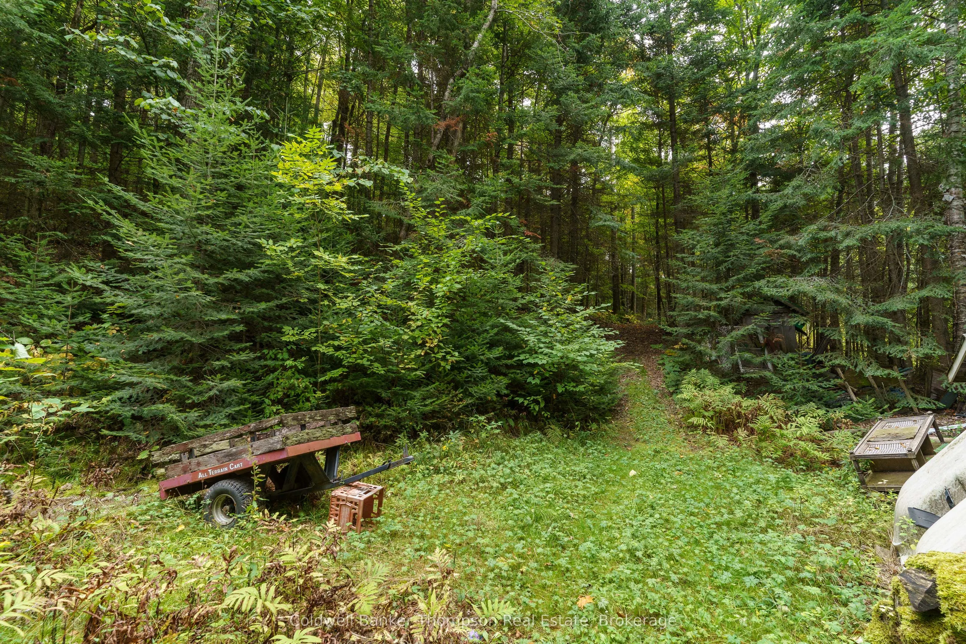 2266 Pickerel & Jack Lake Road