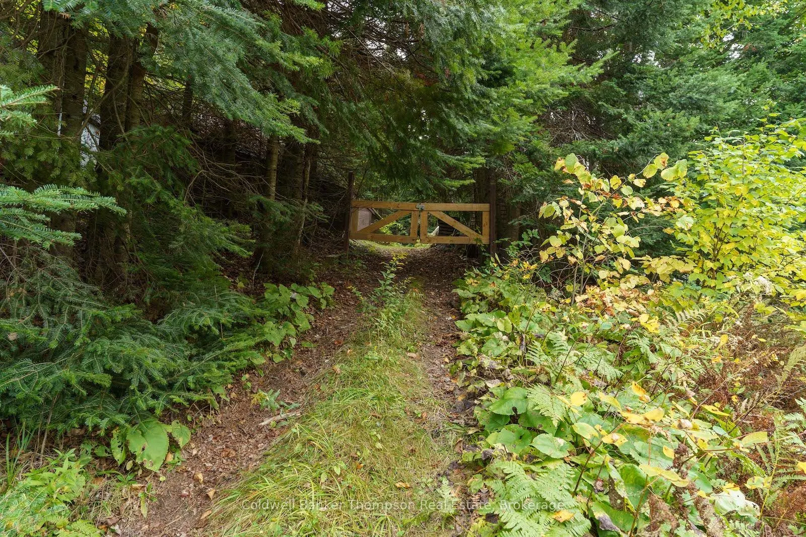 2266 Pickerel & Jack Lake Road
