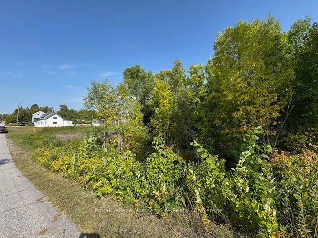53 Bain Avenue