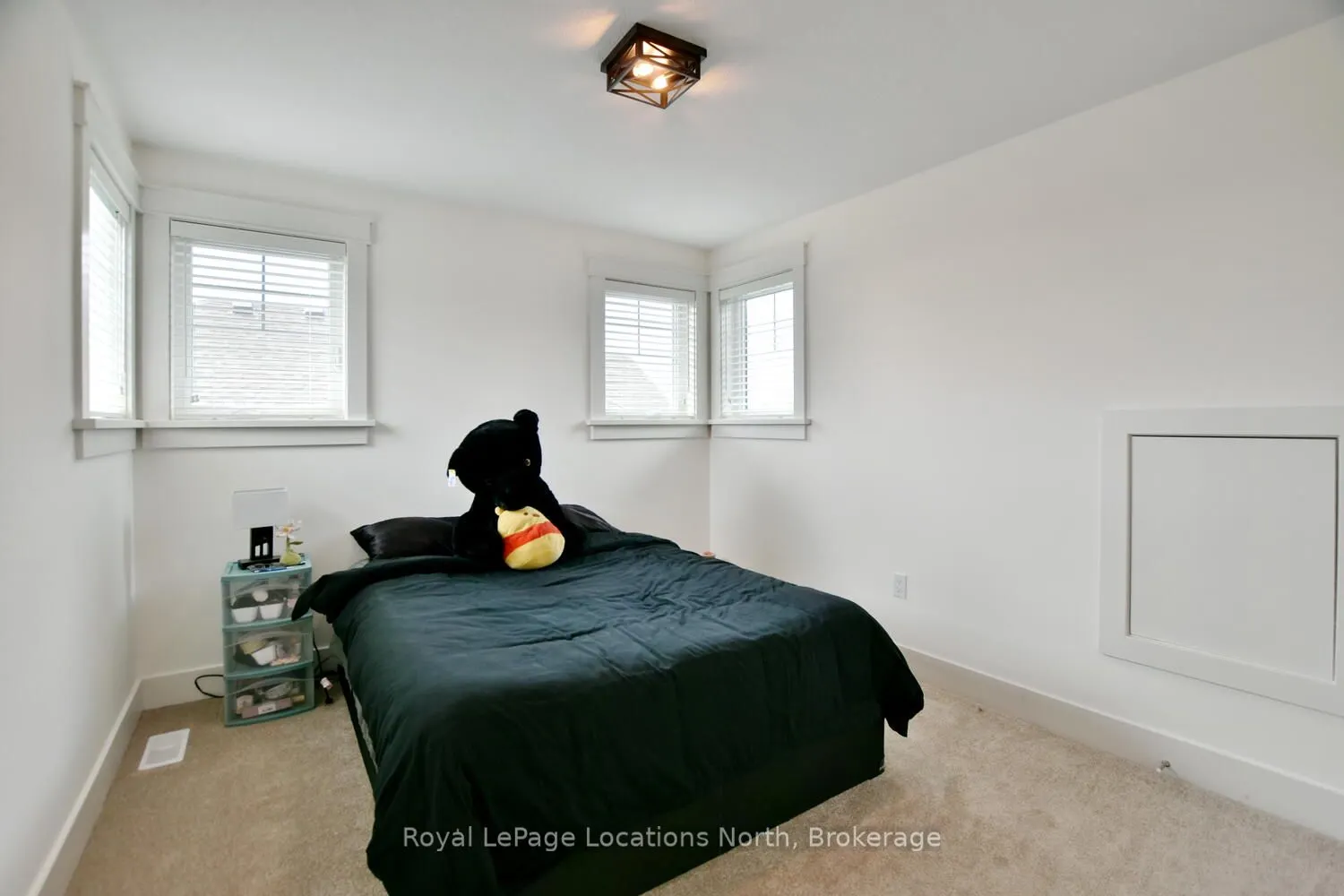 216 Snowberry Lane