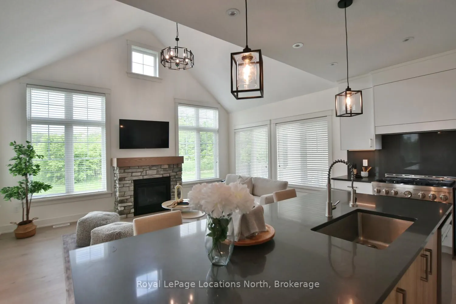 216 Snowberry Lane
