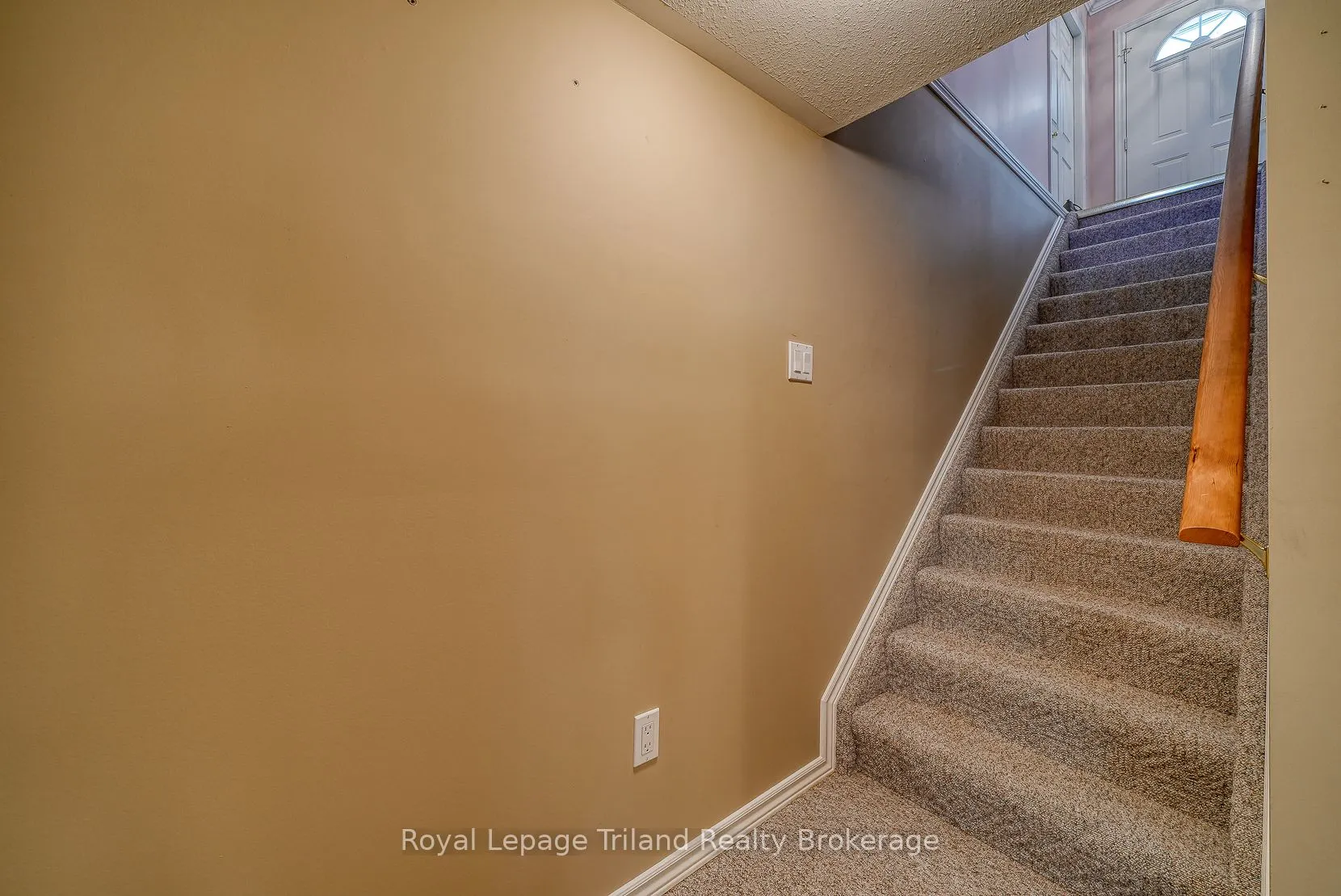 928 Lorene Street, #5