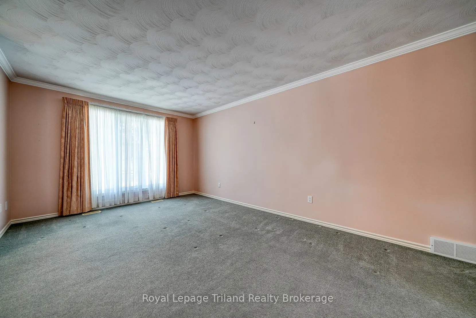 928 Lorene Street, #5