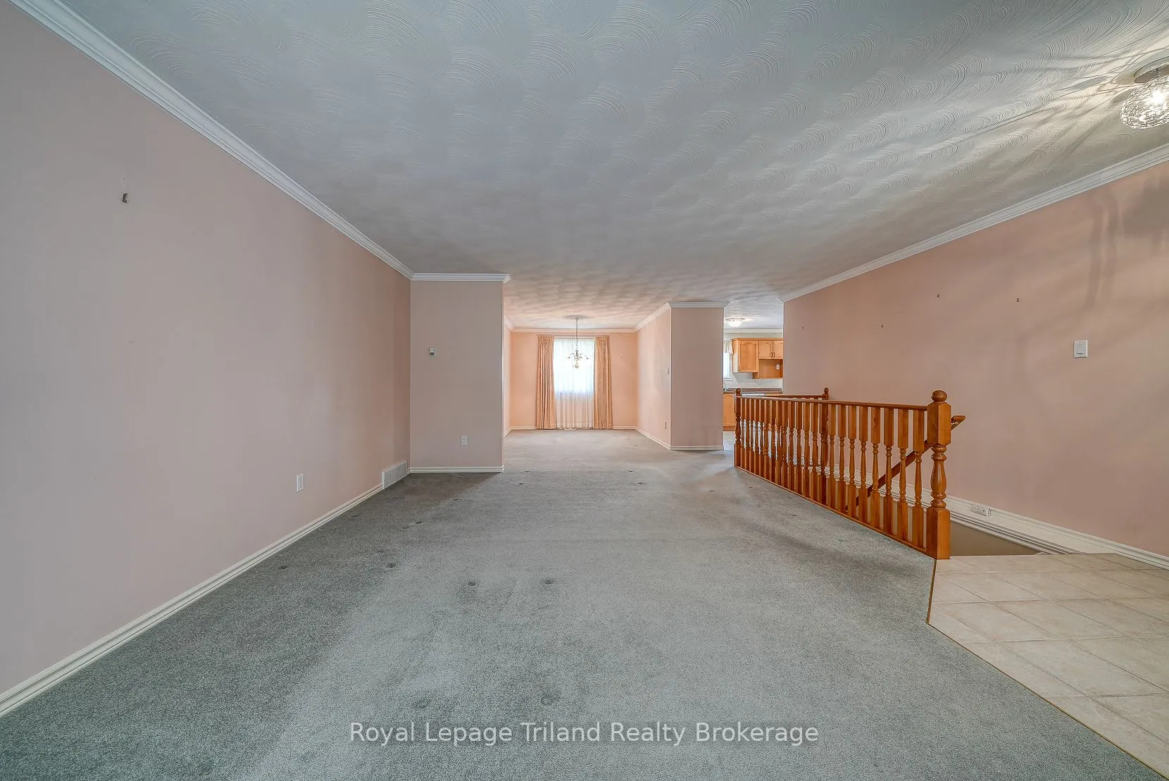 928 Lorene Street, #5