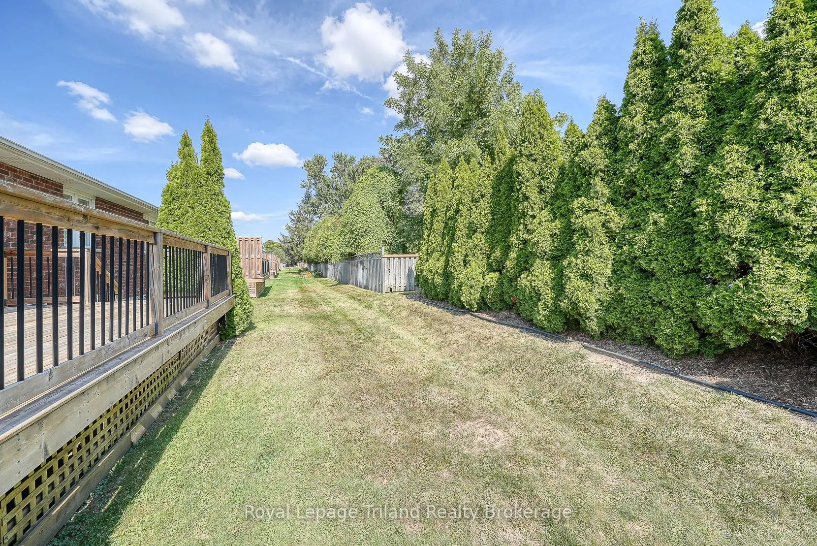 928 Lorene Street, #5