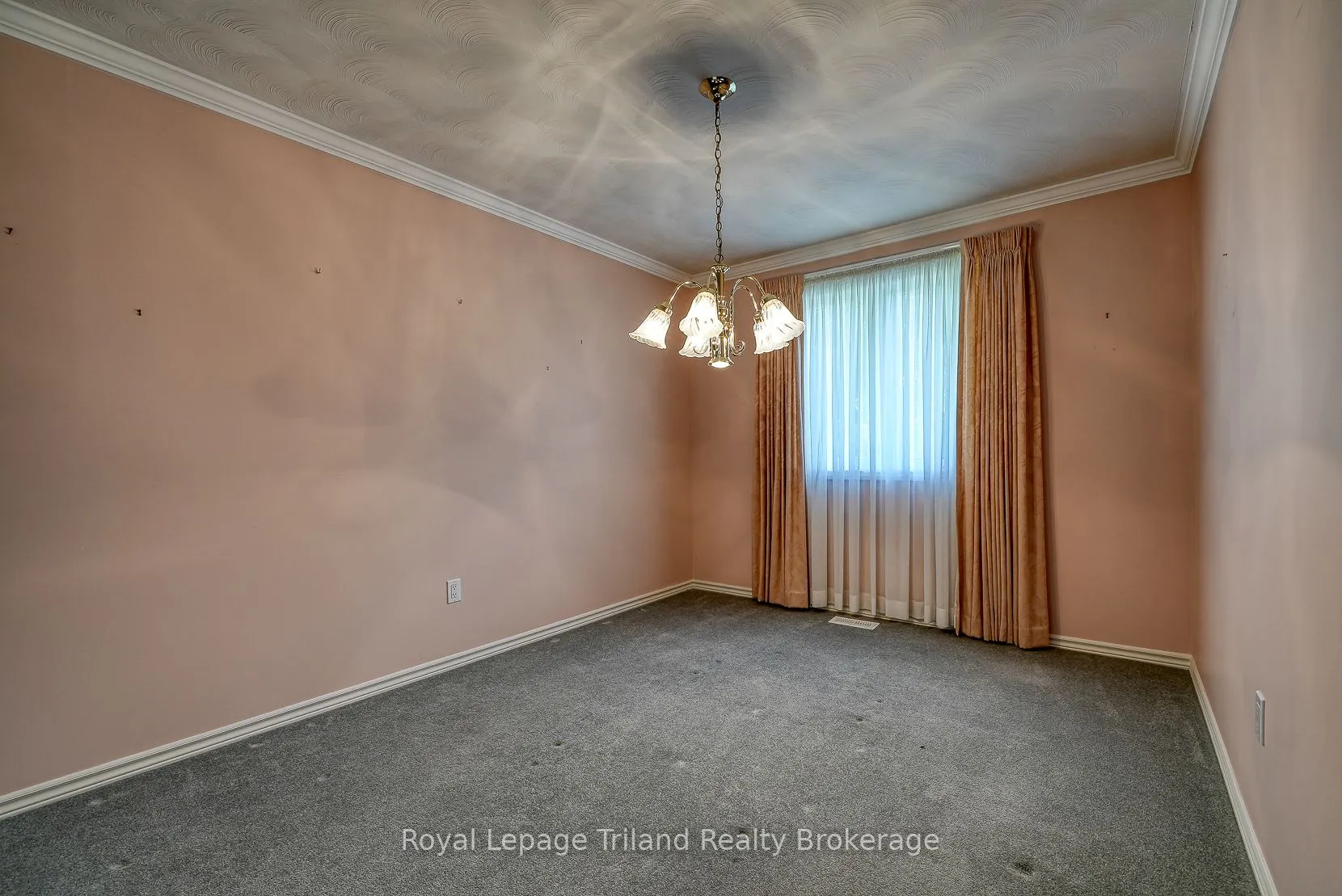 928 Lorene Street, #5