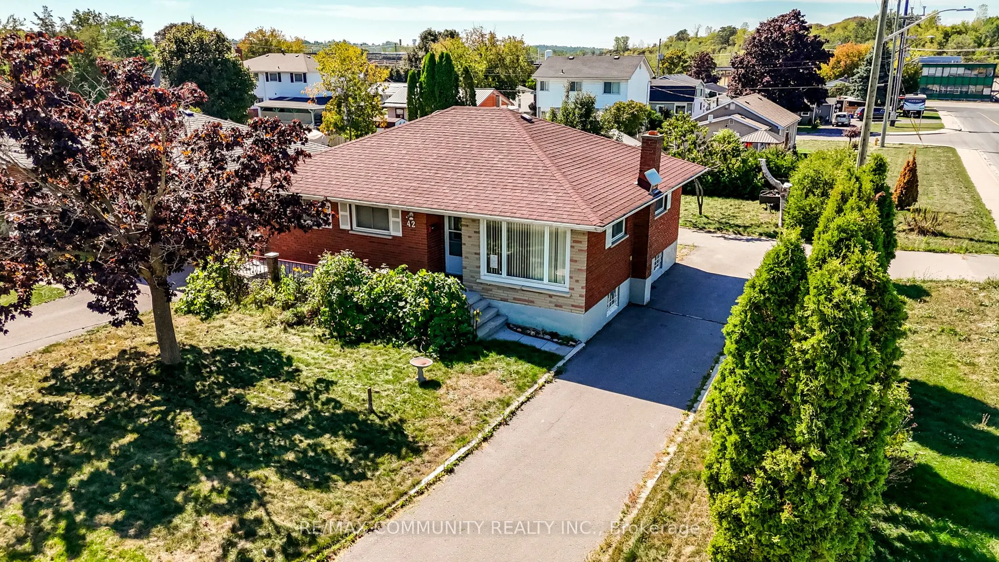 42 Elizabeth Avenue