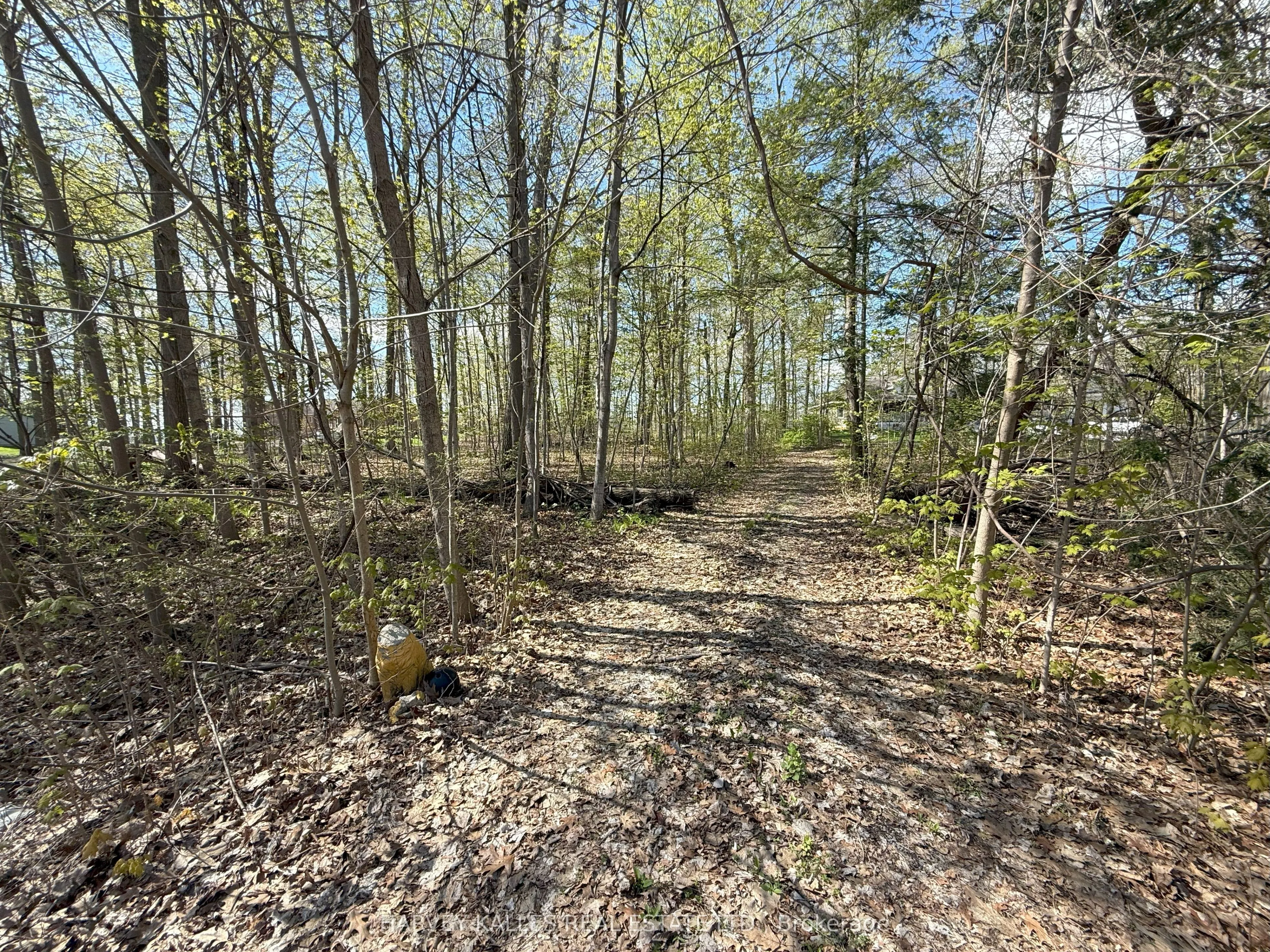 0 Oakwood Lane