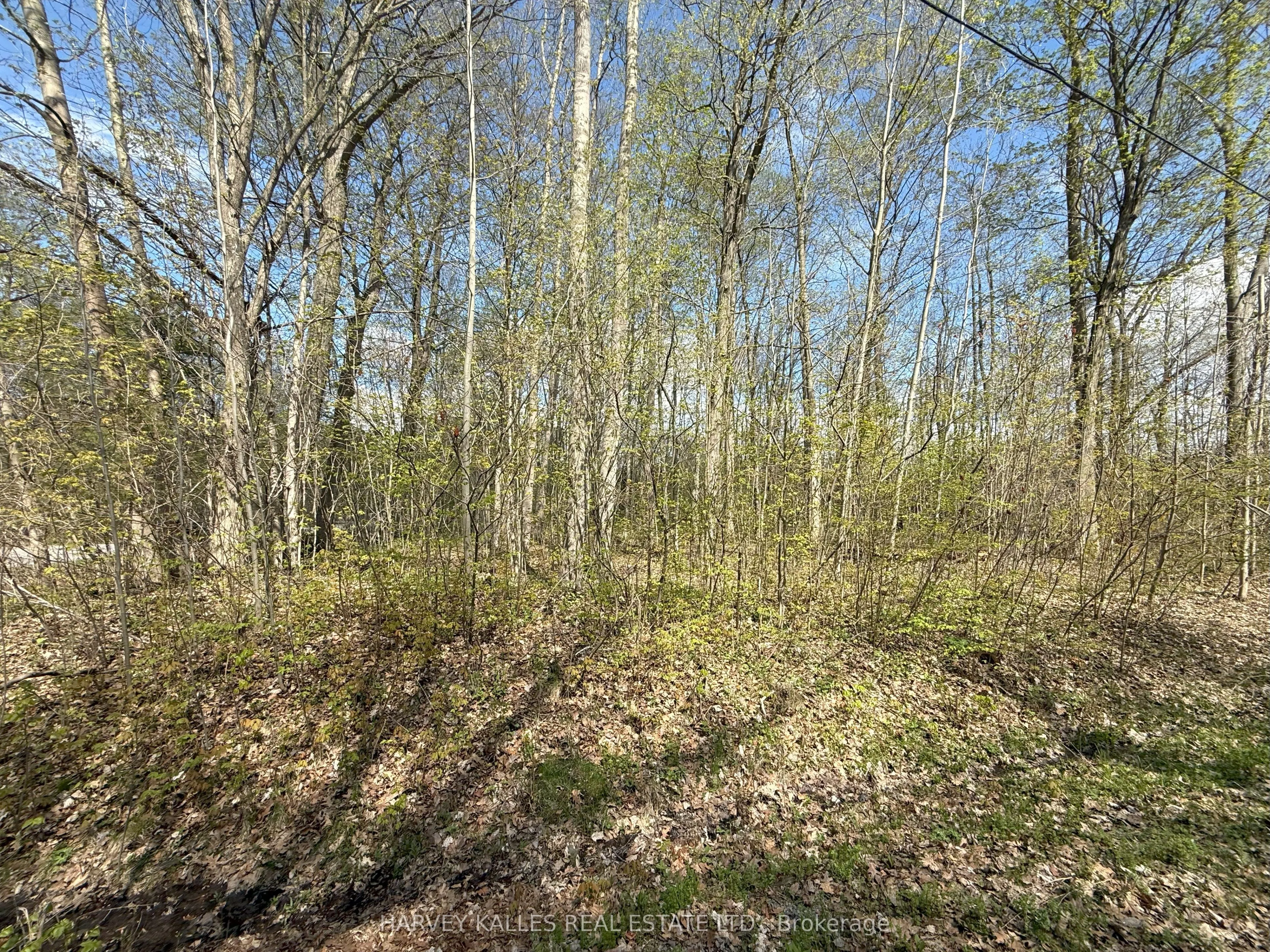 0 Oakwood Lane