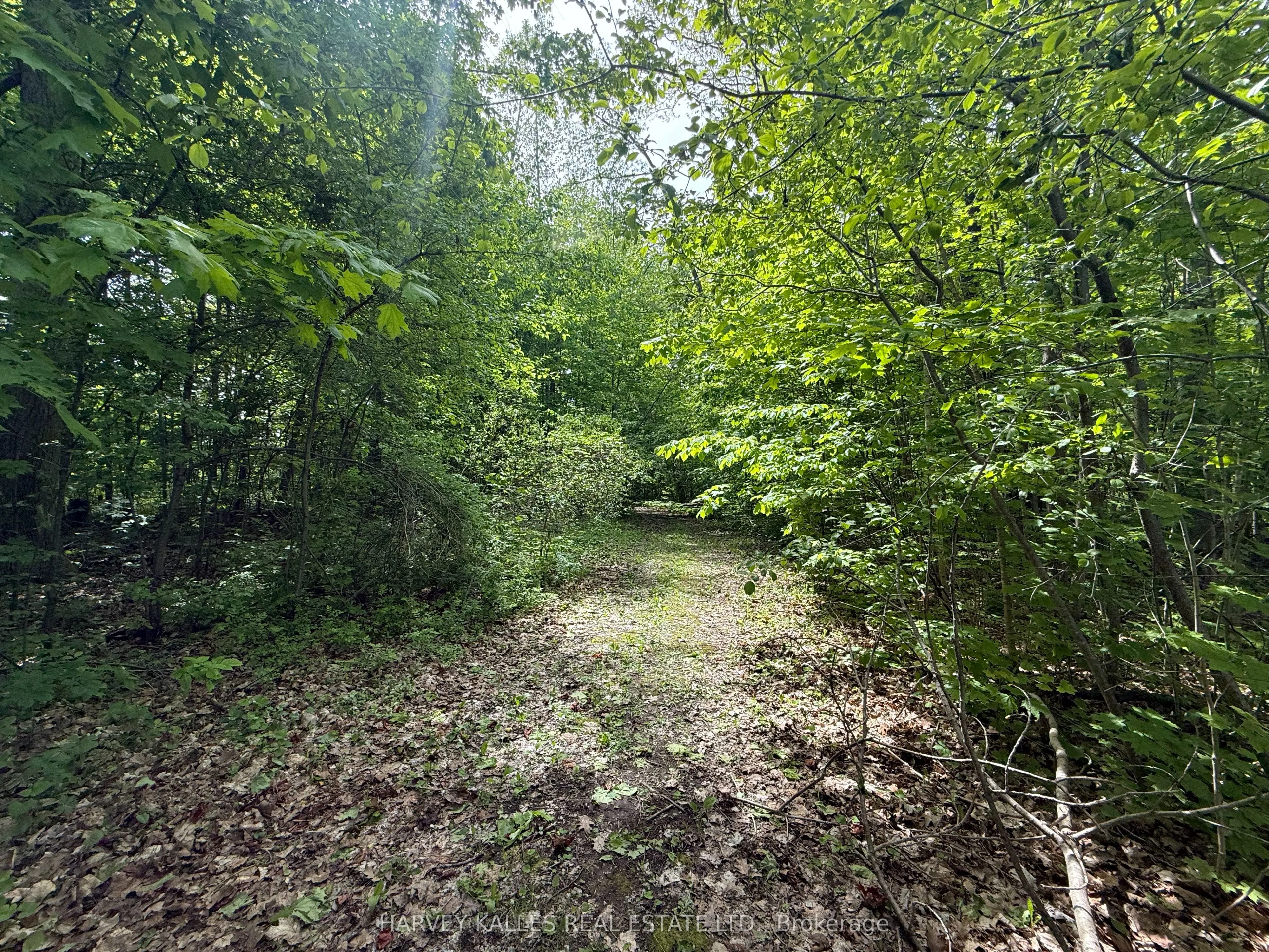 0 Oakwood Lane