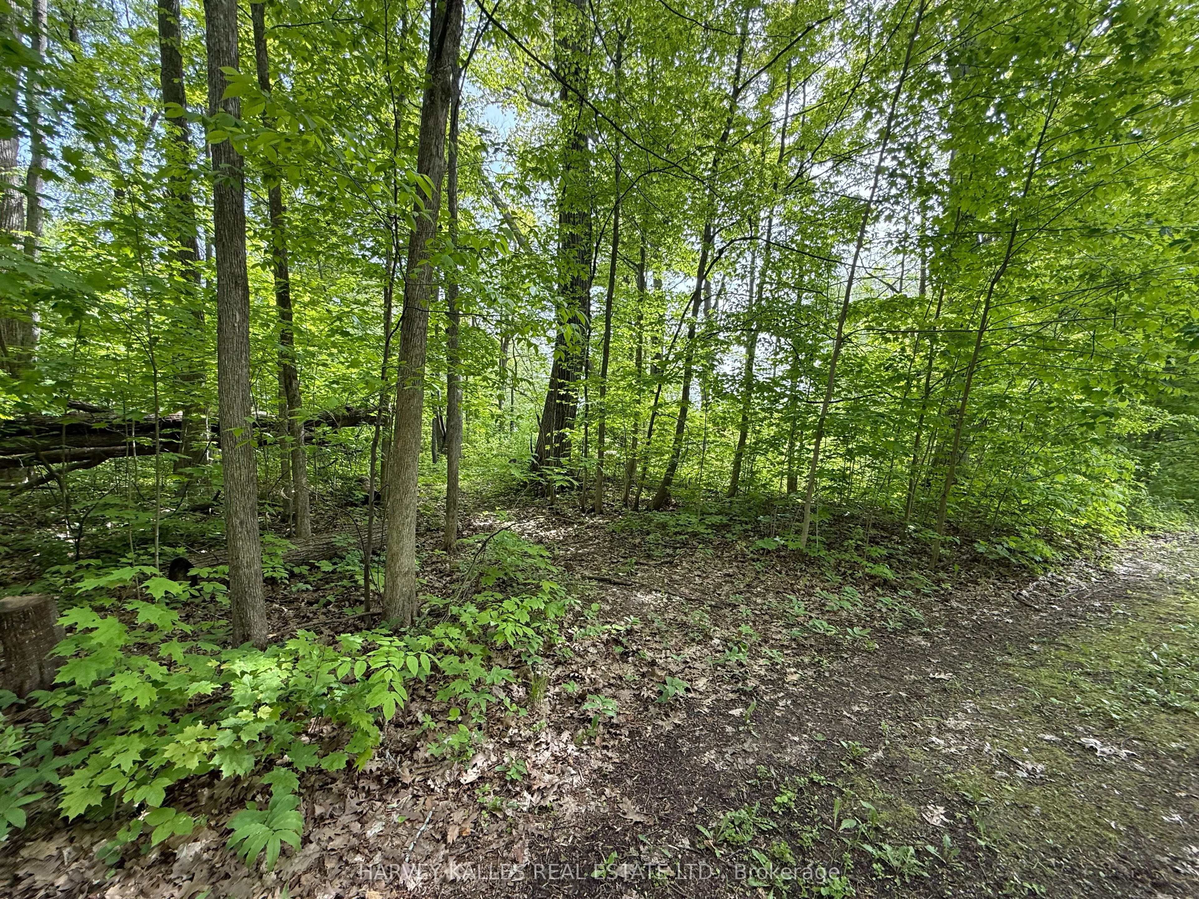 0 Oakwood Lane