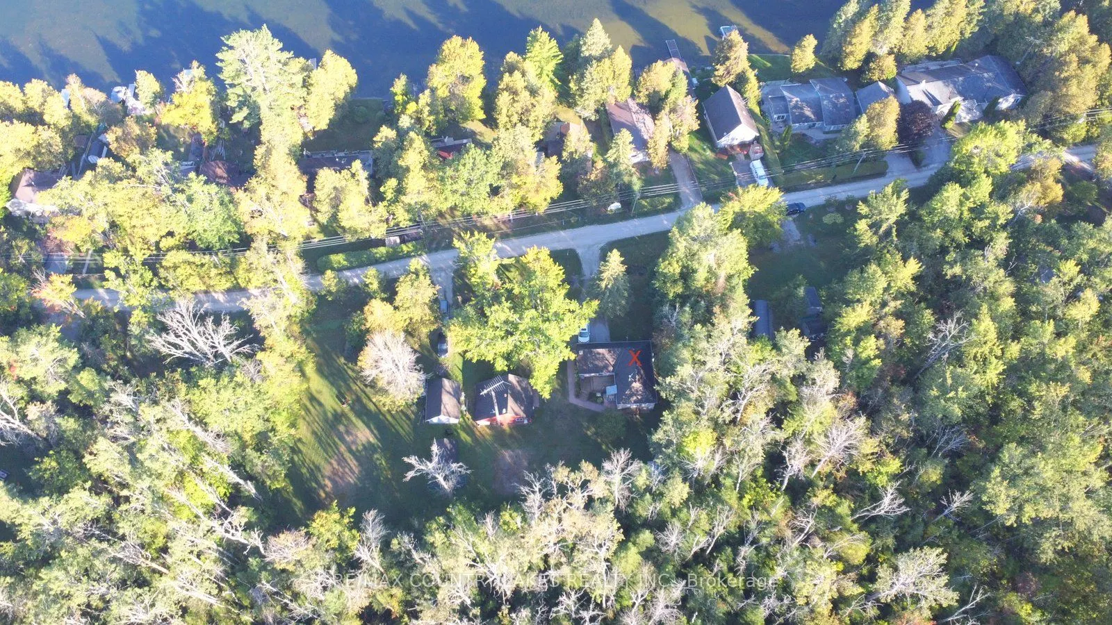 62 Paradise Road