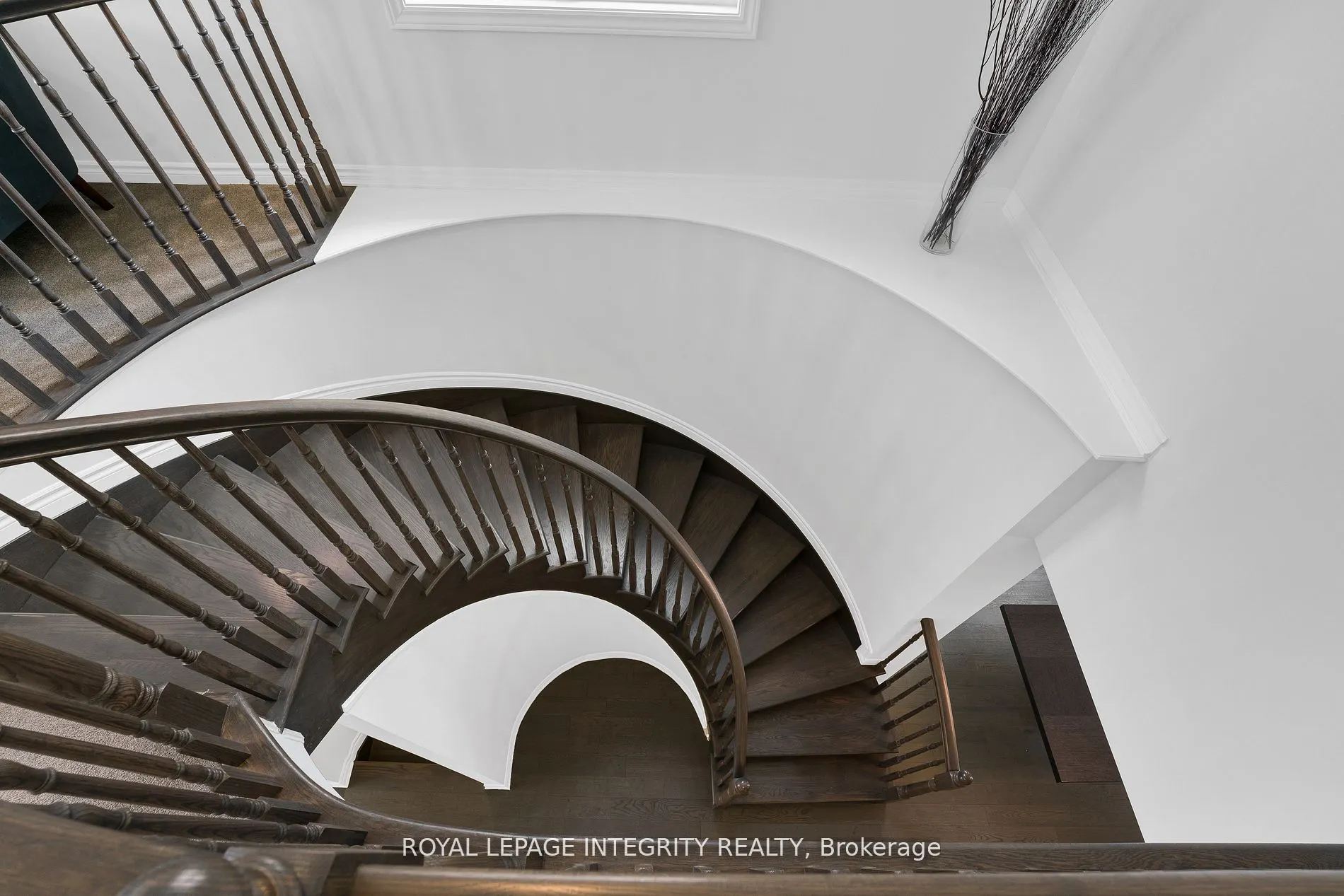 482 Alcor Terrace
