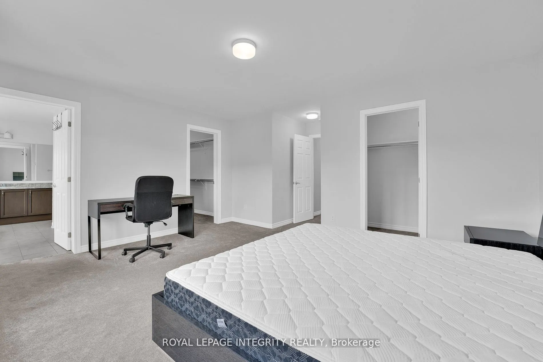 482 Alcor Terrace