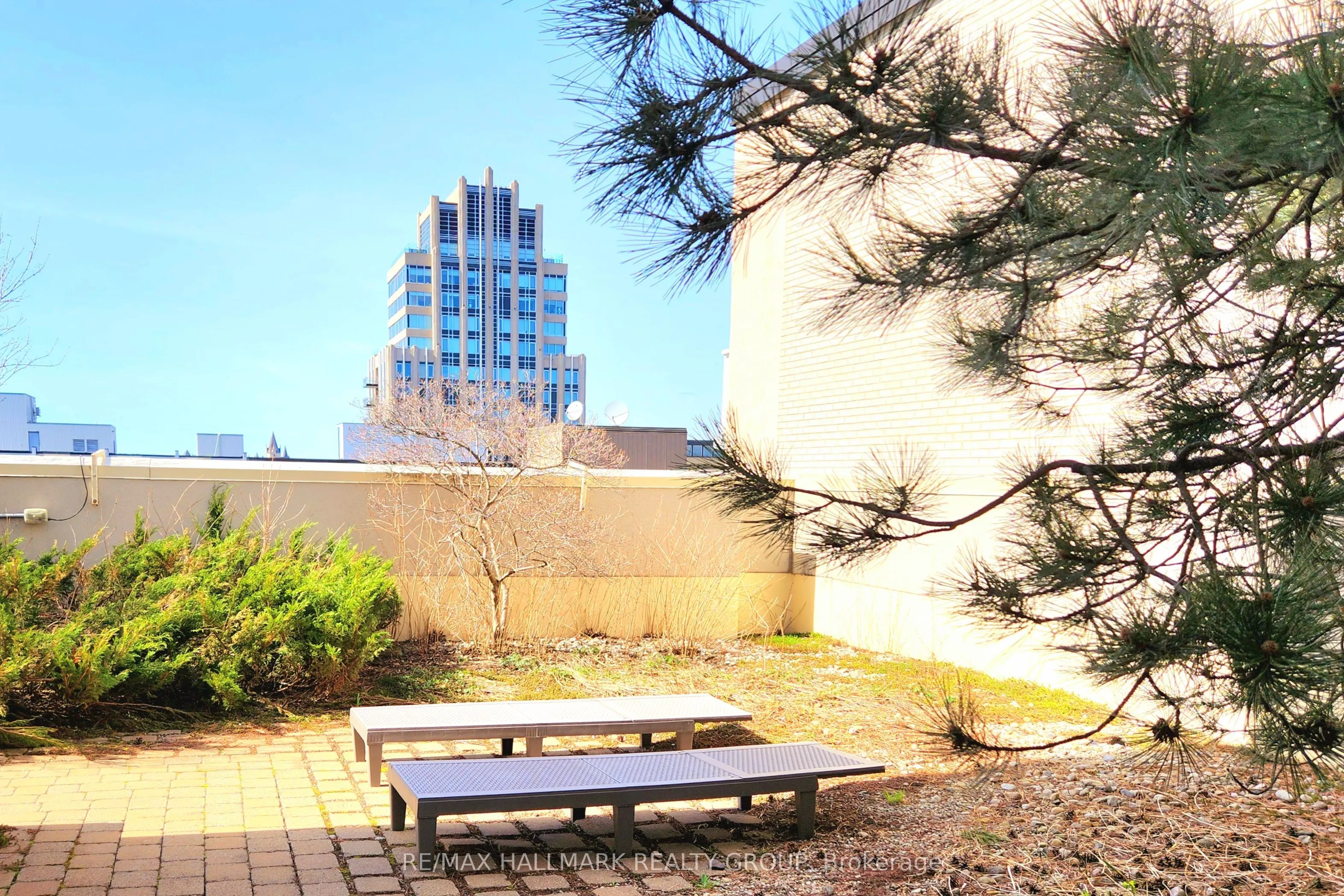 138 Somerset Street W, #209