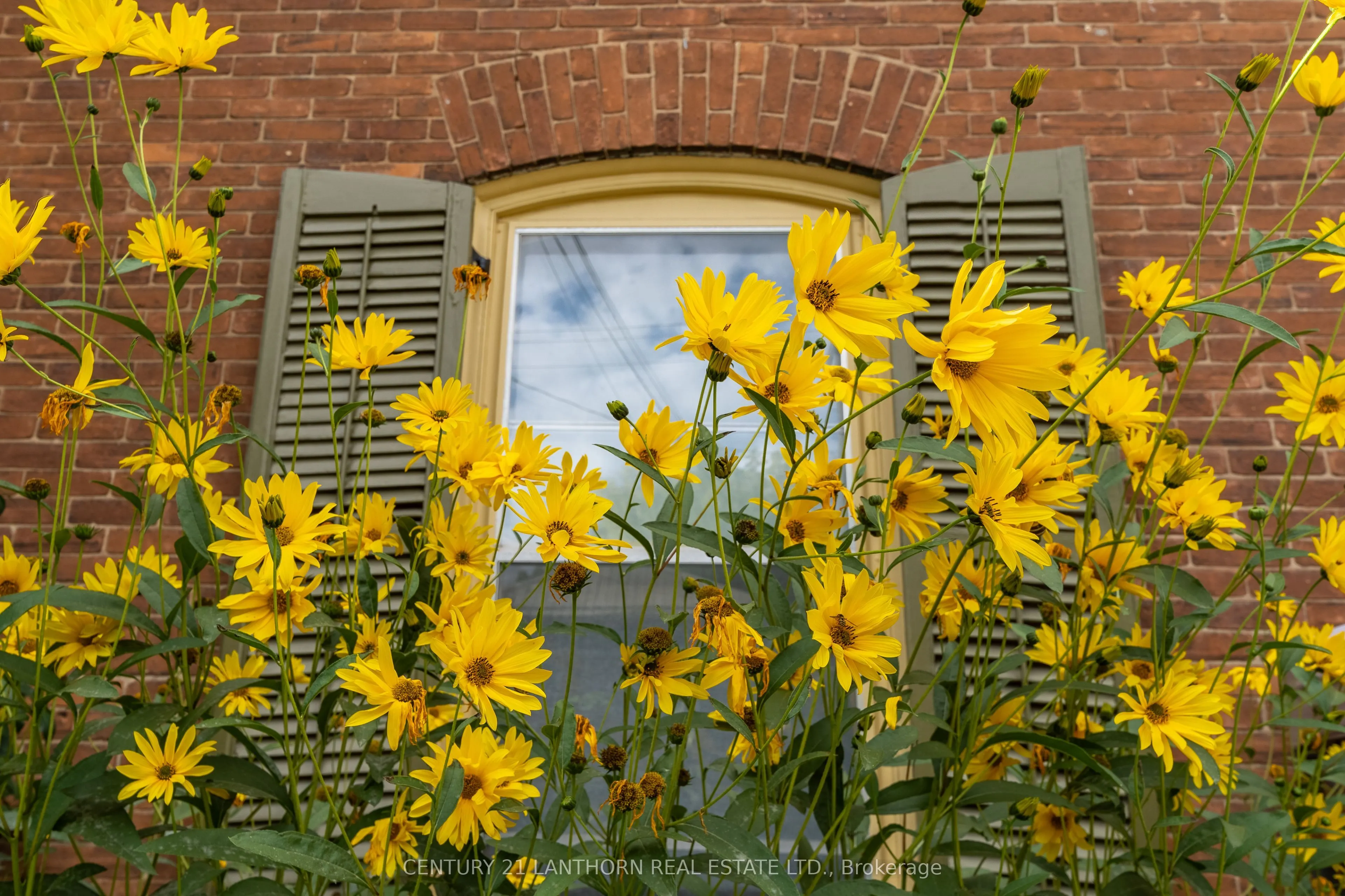 56 Mary Street