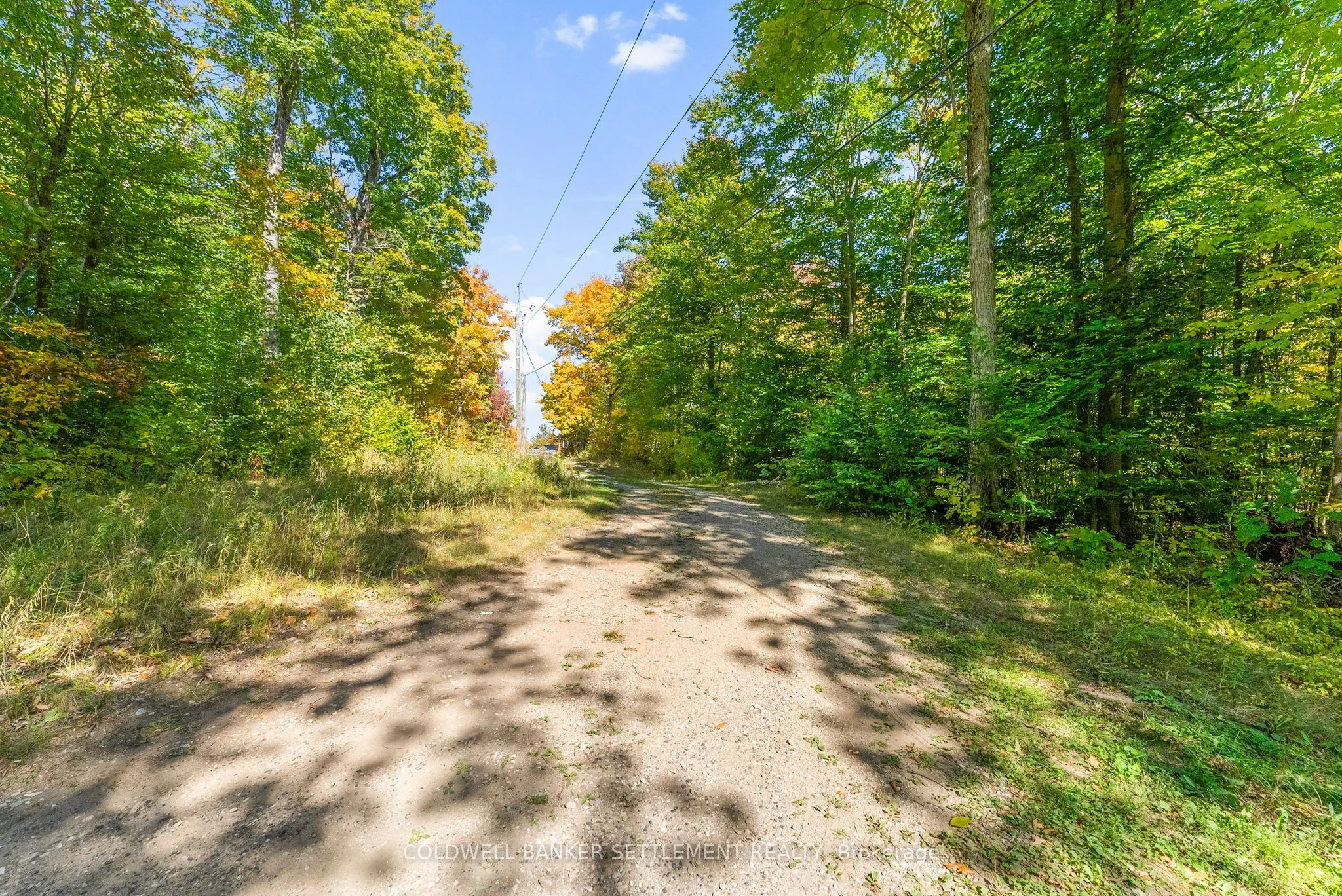 23925 Highway 7