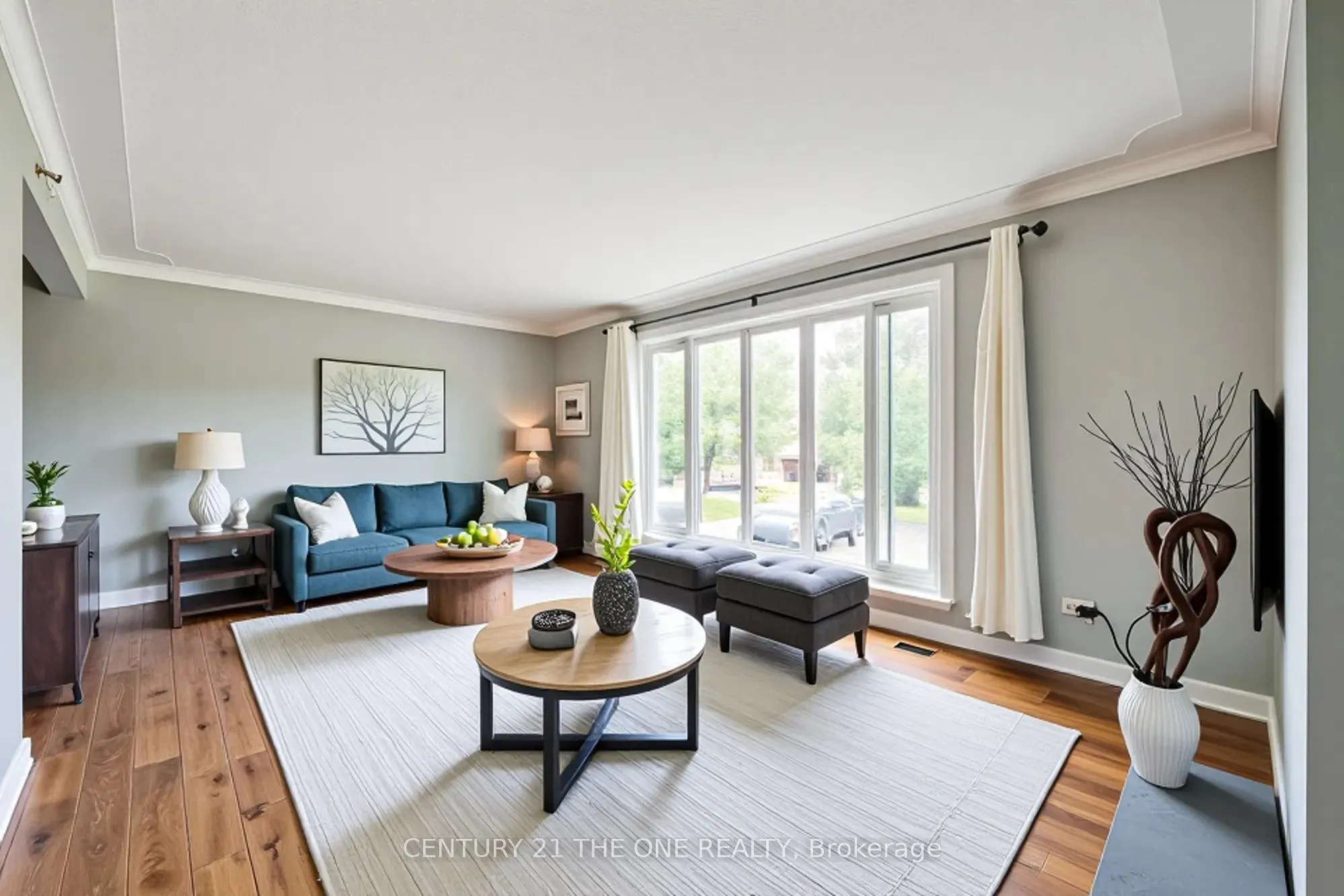 25 Carrol Street