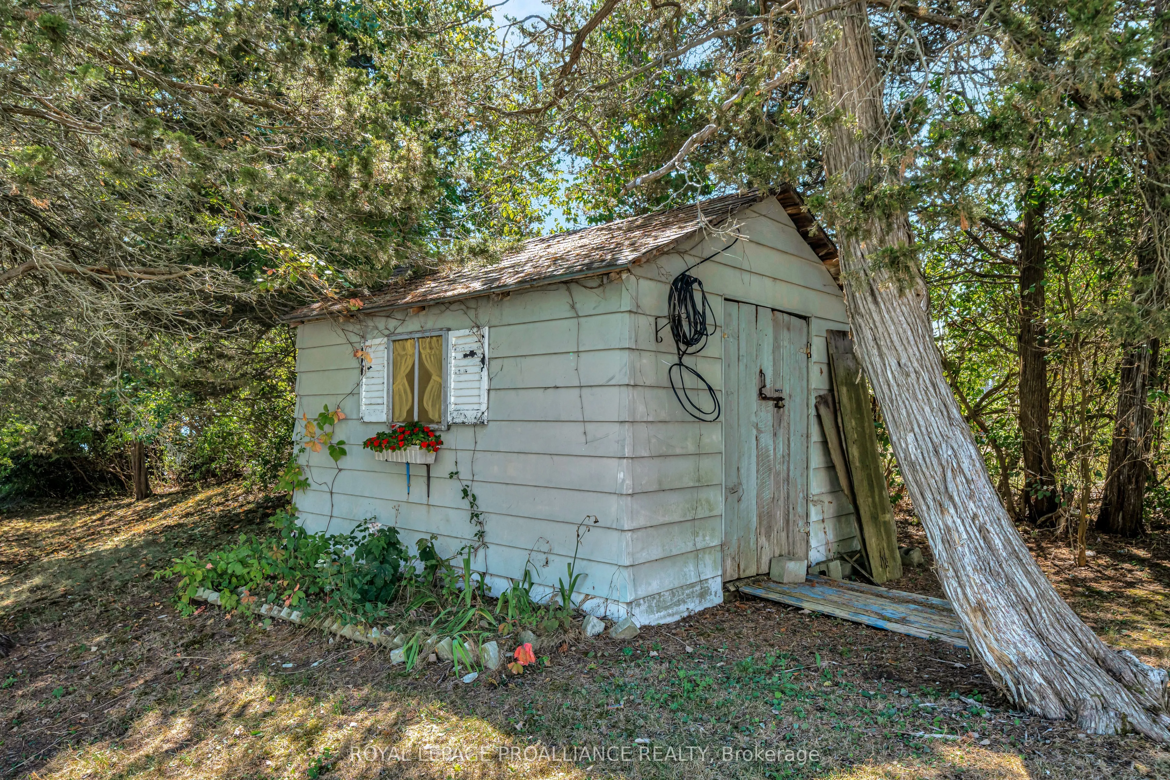 473 County Rd 19