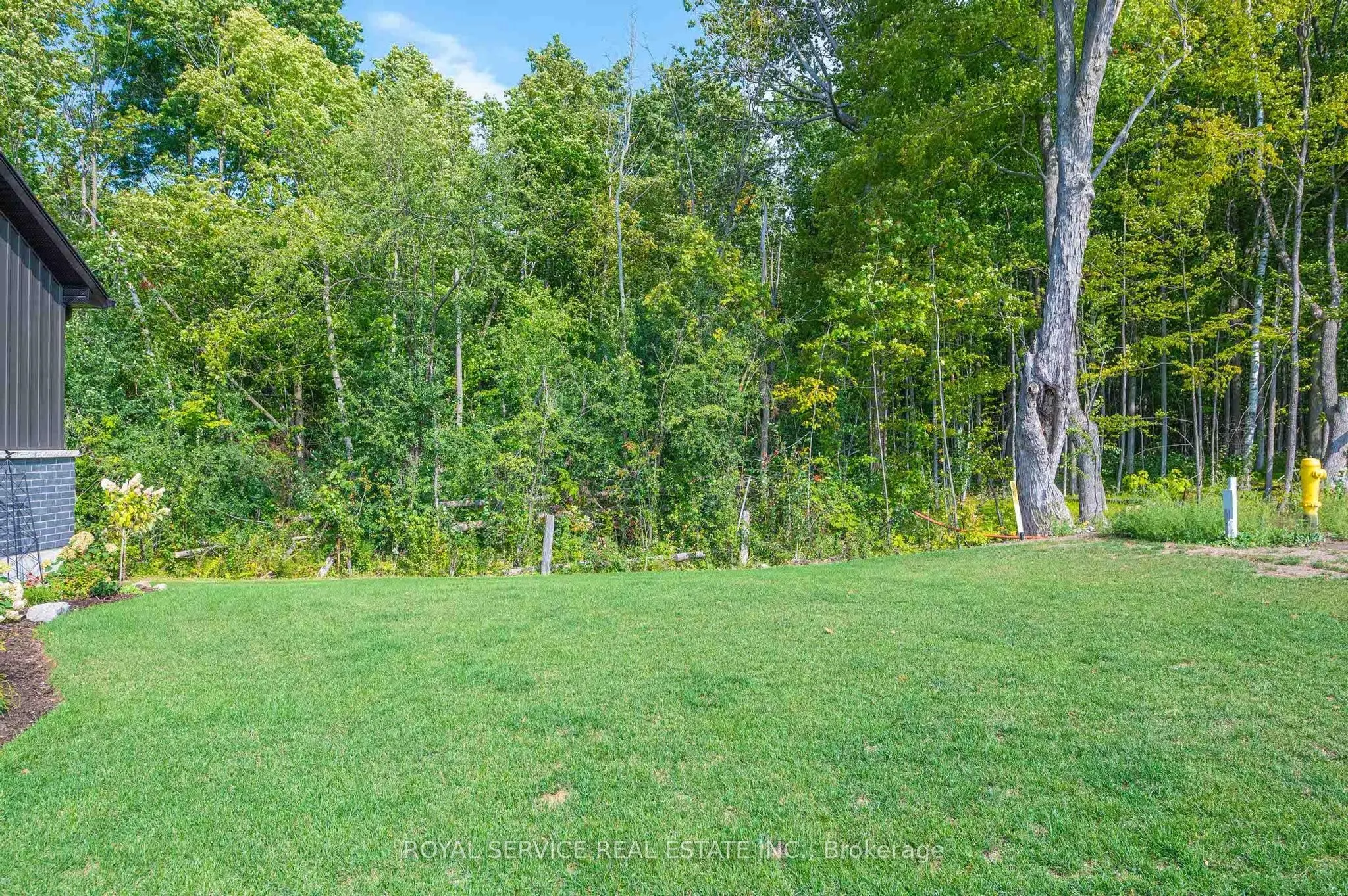 137 Ridgeline Drive