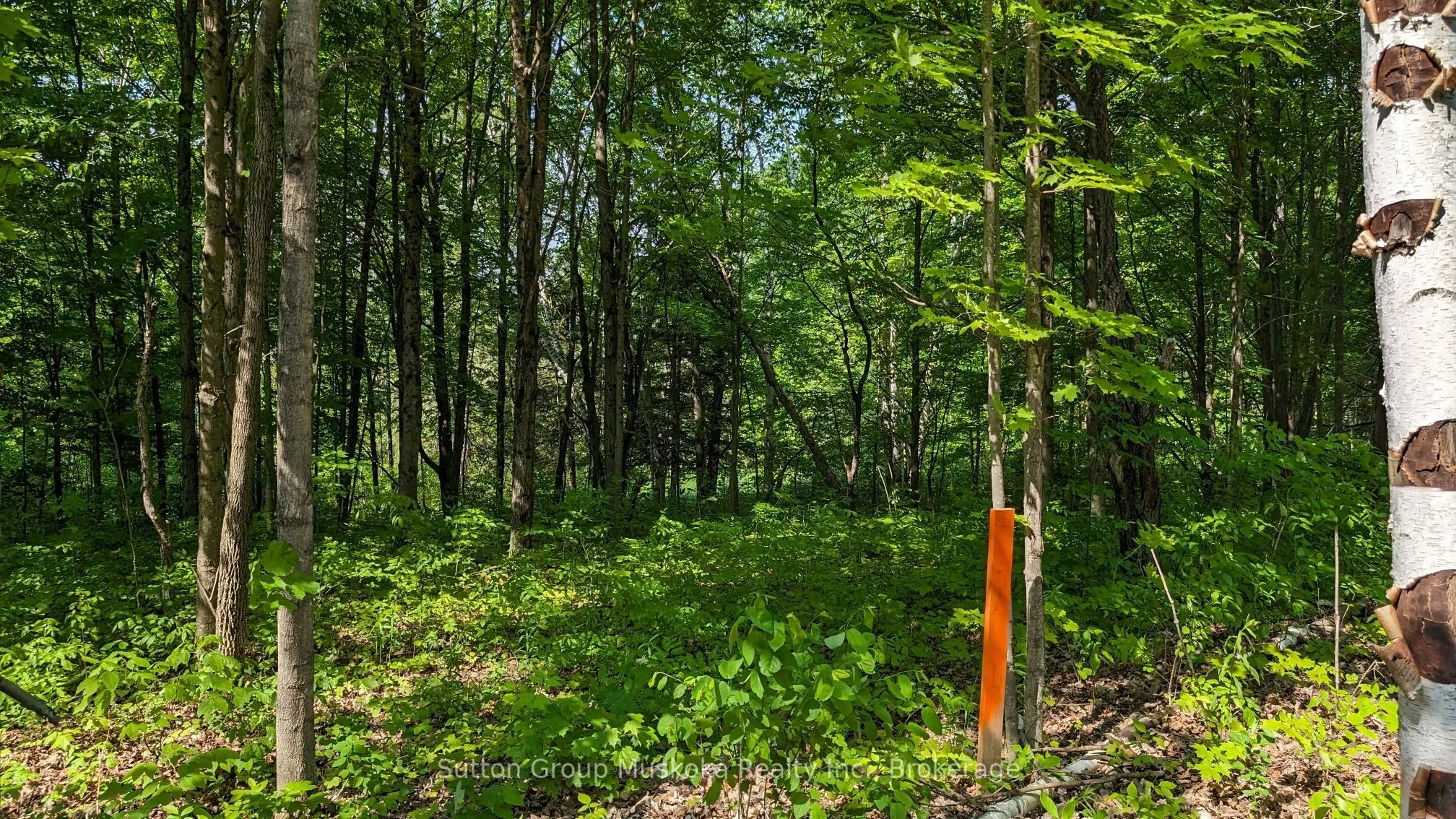 Lot 2 Tally-Ho Winter Park Road