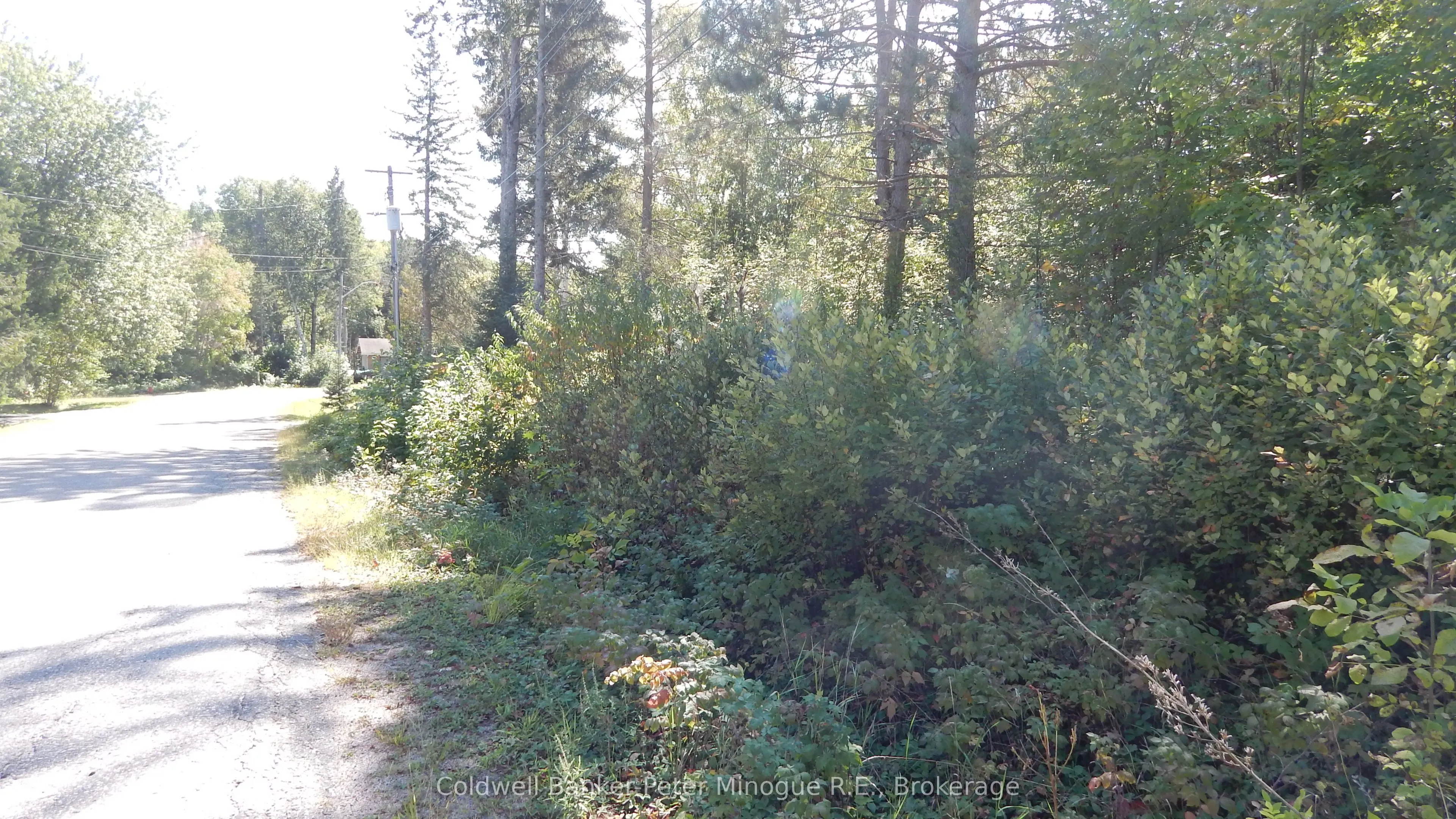 Lot 25 DEVELOPMENT Road