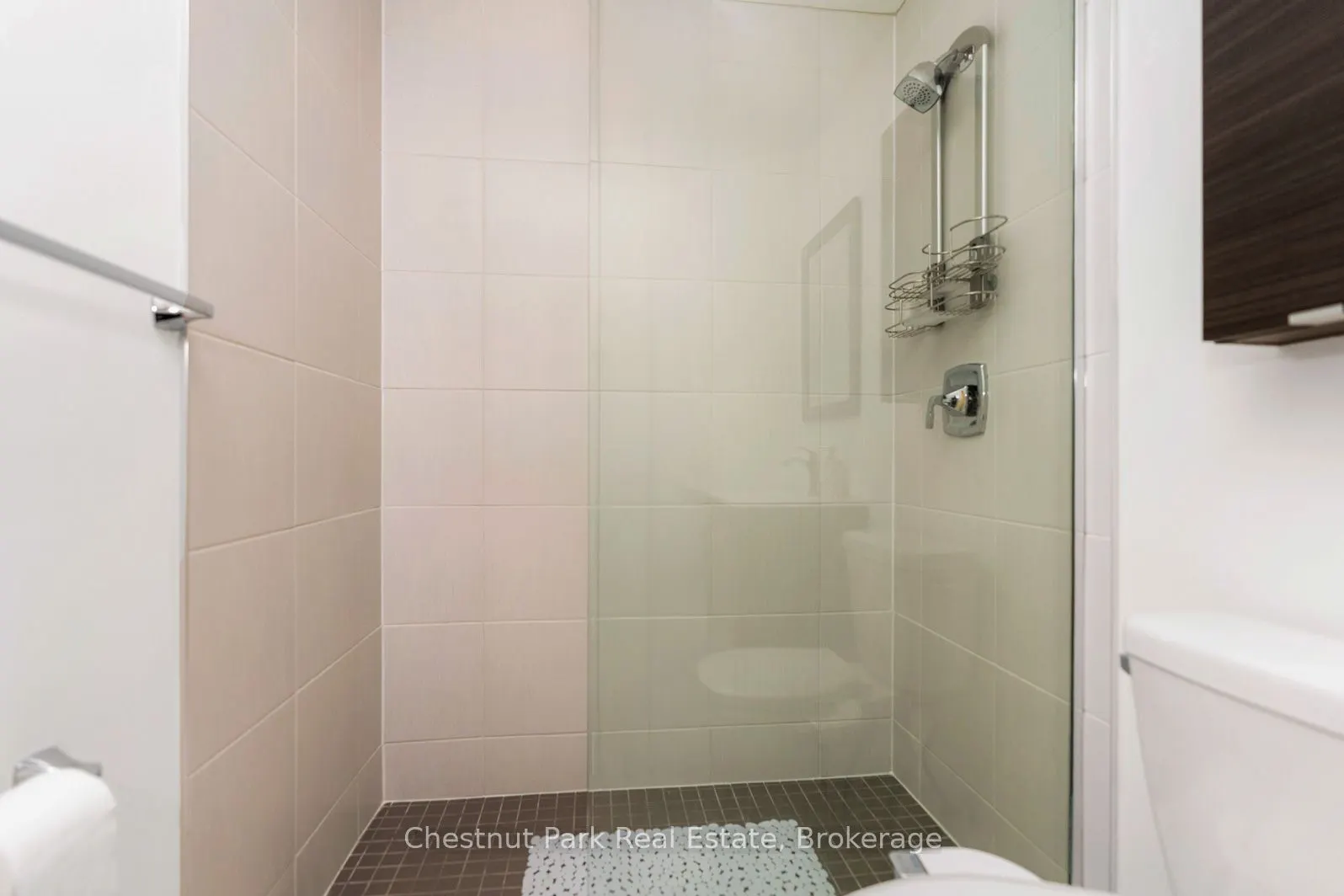 18 Beckwith Lane, #202