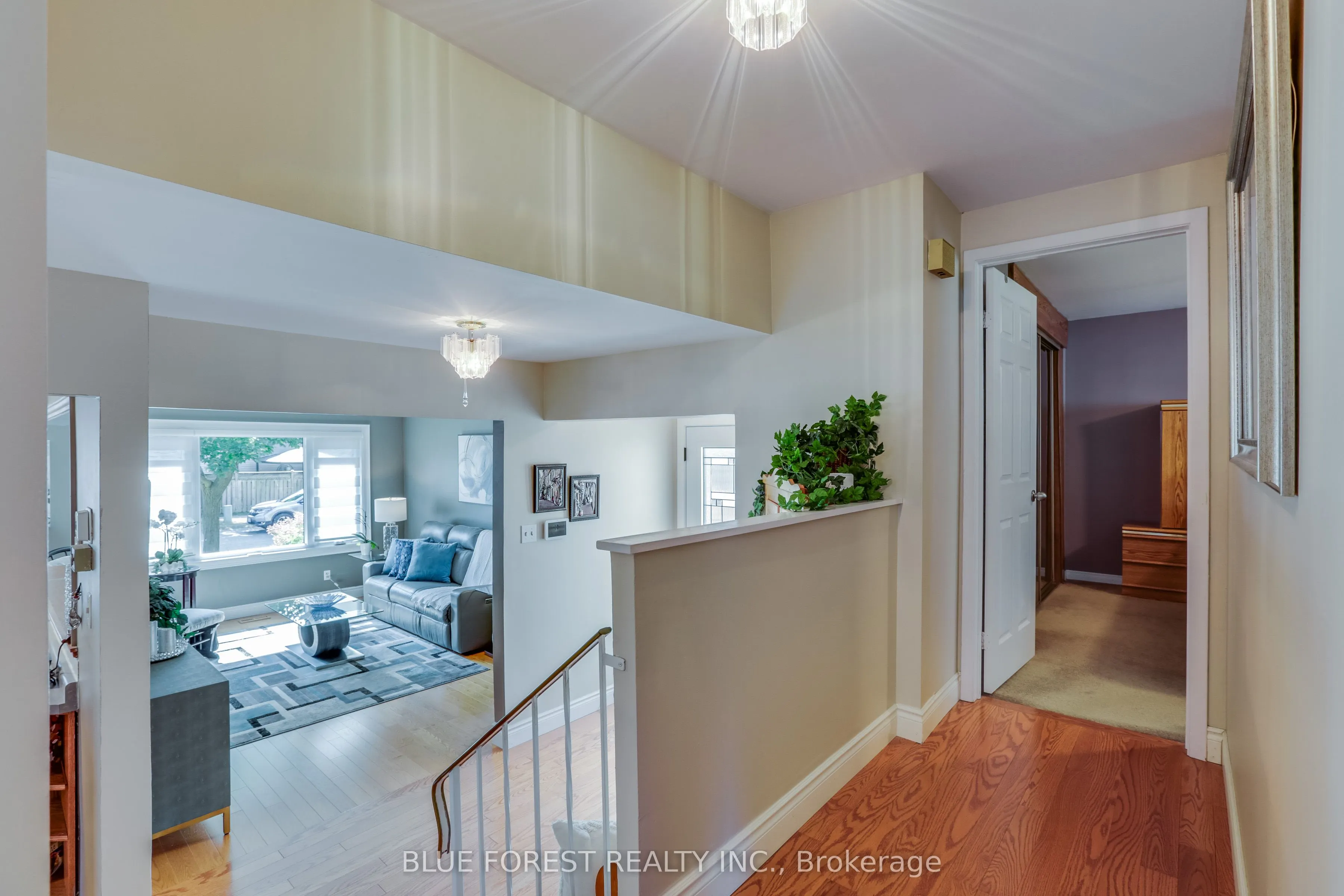 6 Ashbury Avenue