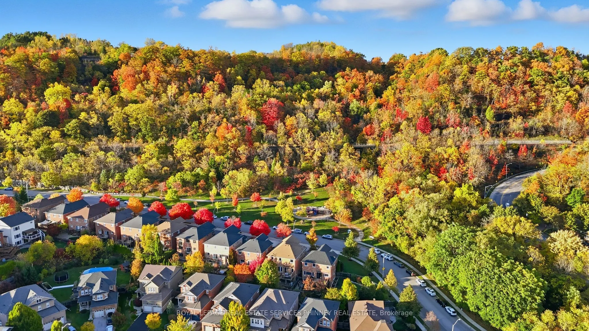 47 Livingstone Drive