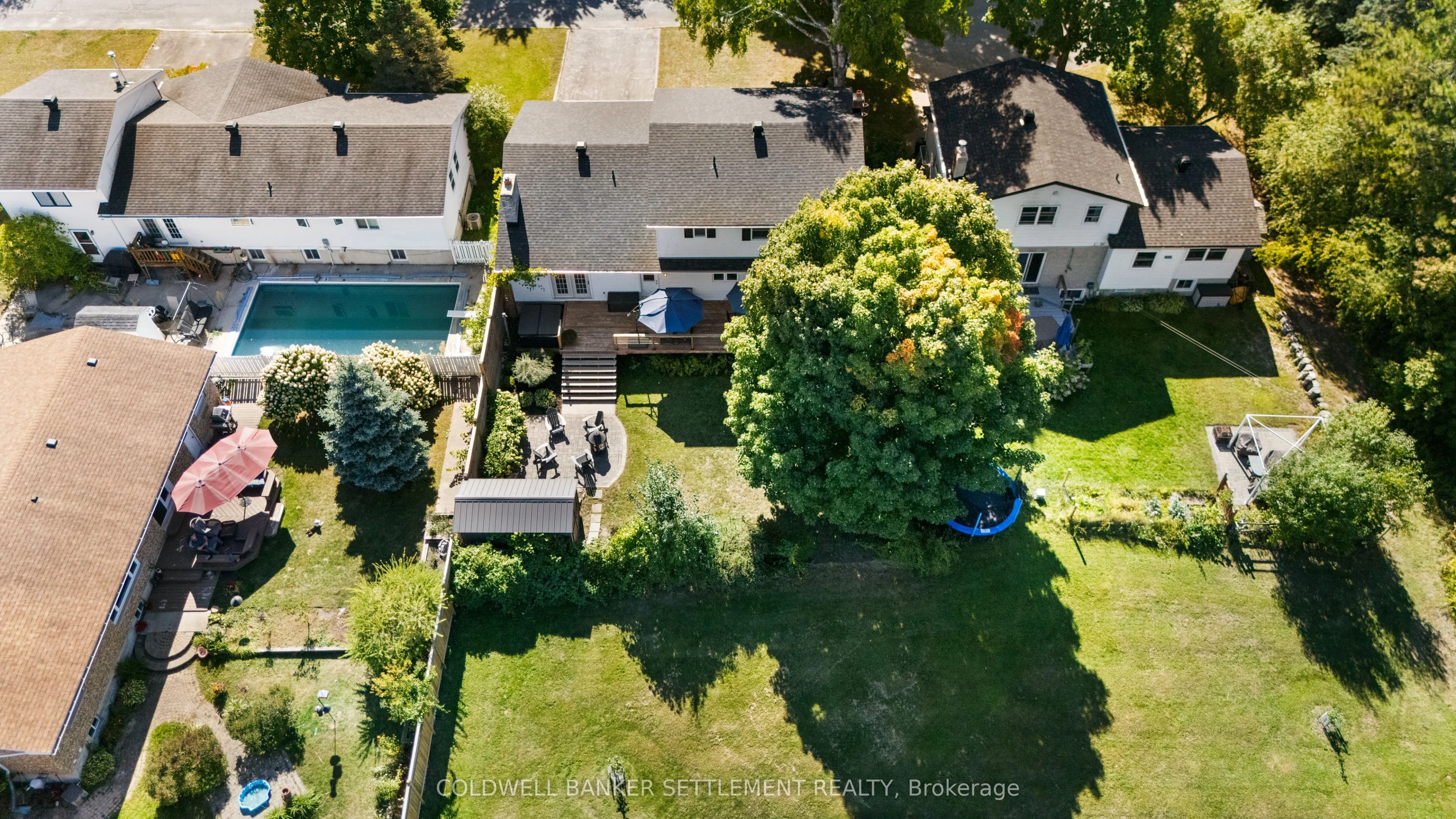 11 Scott Crescent