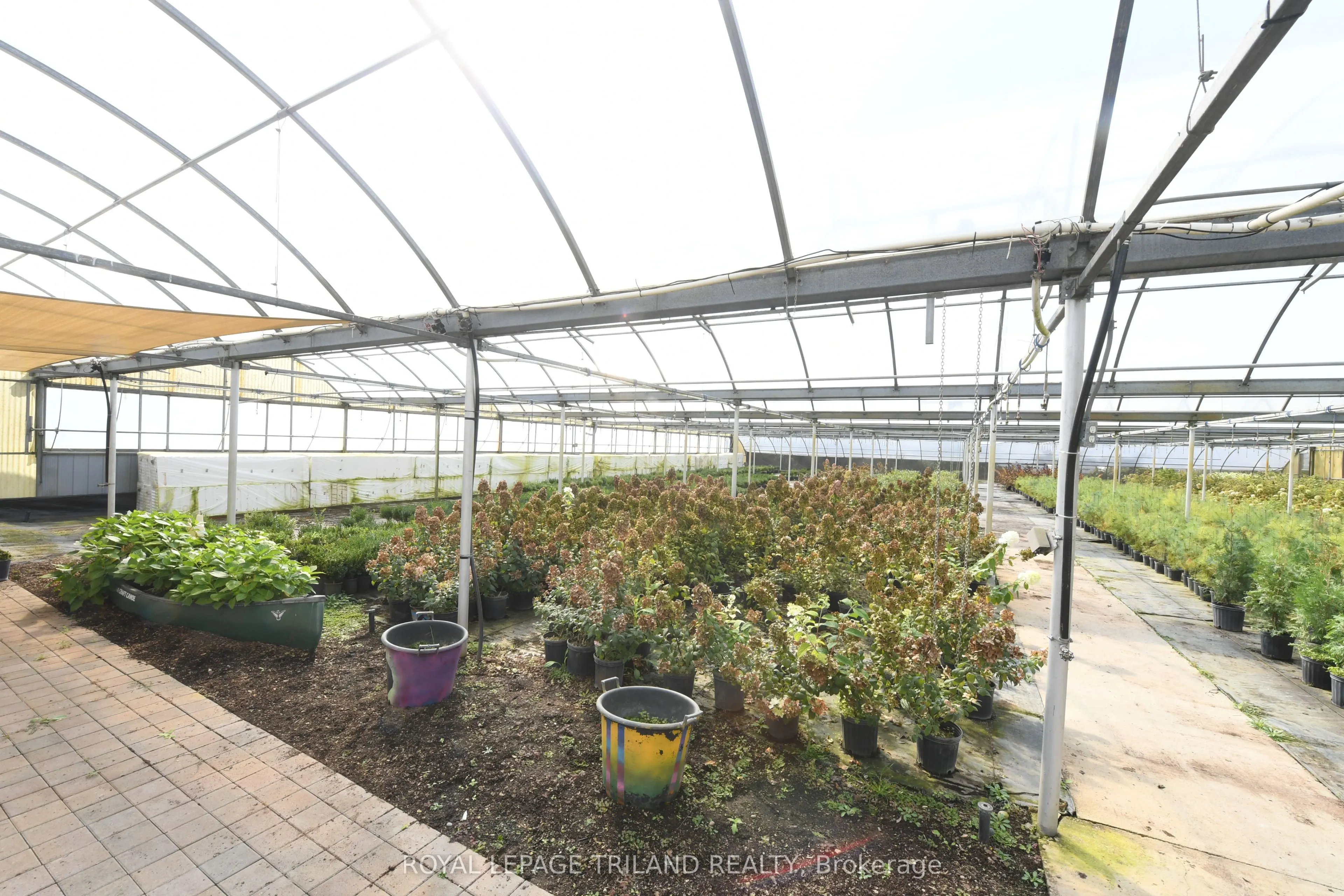 5101 Dundas Street