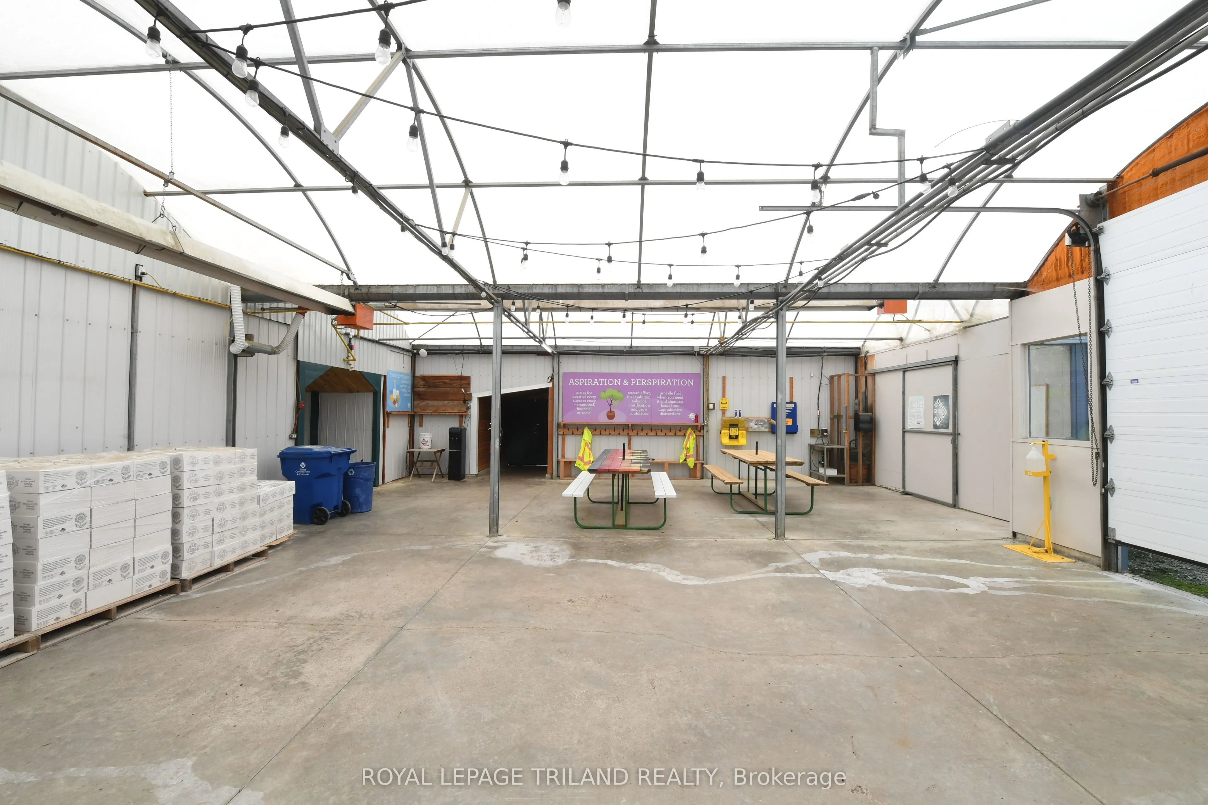 5101 Dundas Street